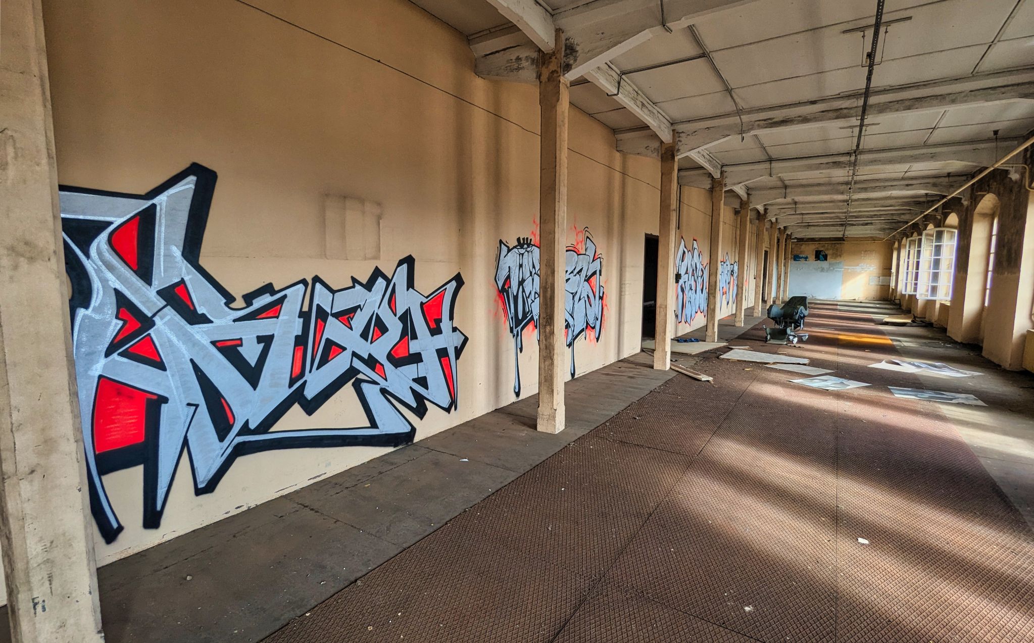 PXL 20241020 104417237