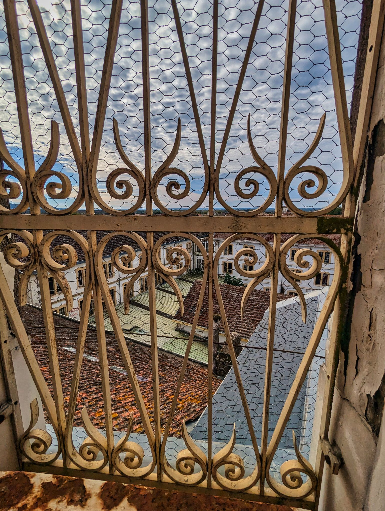 PXL 20241020 110237090