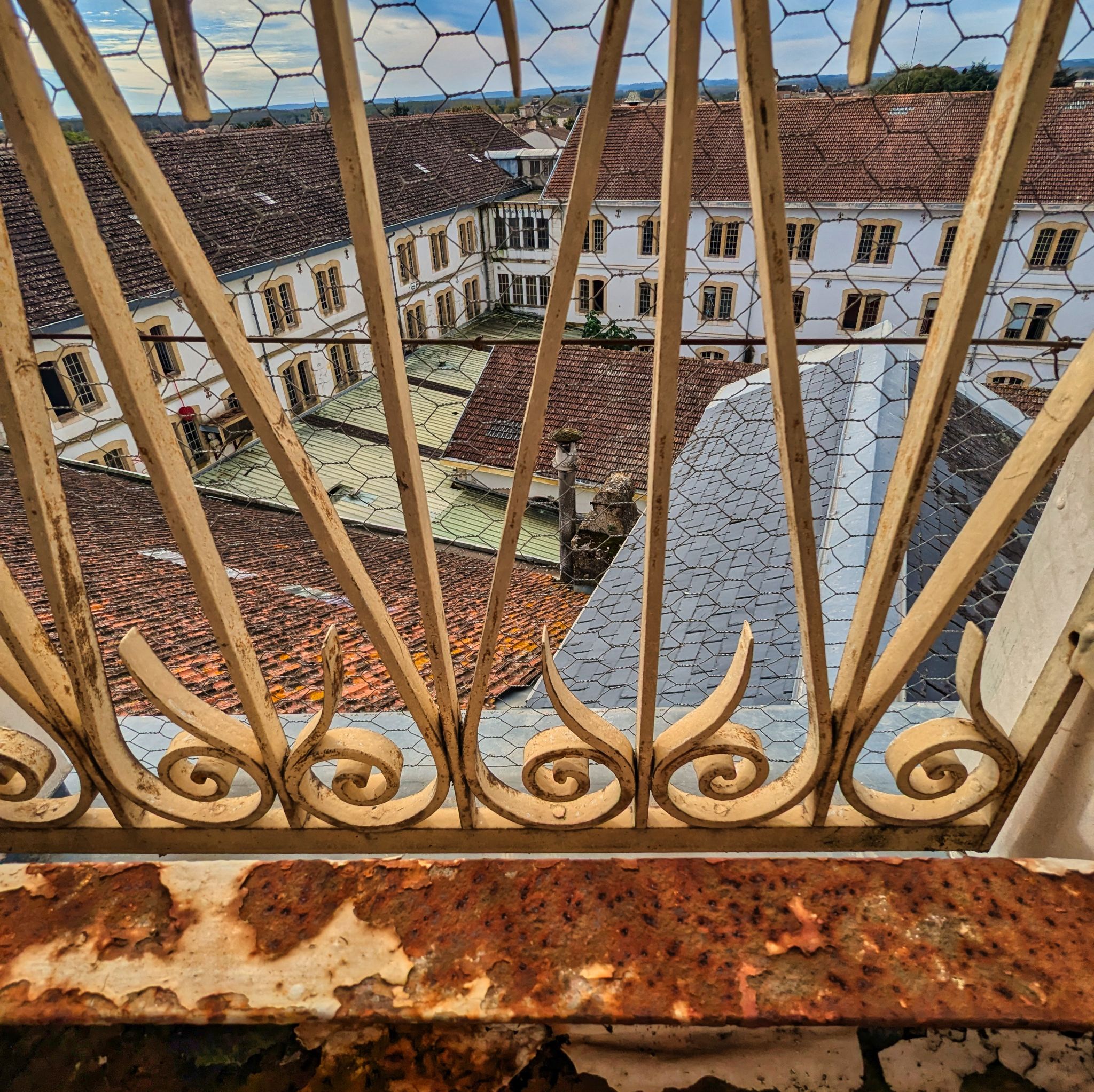 PXL 20241020 110303970