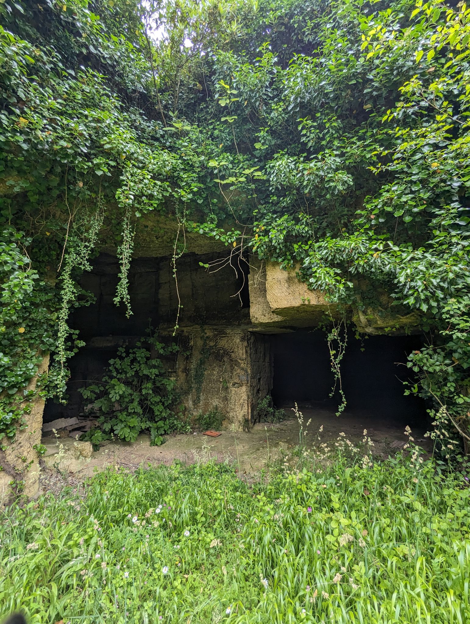 Les carrières de Philéas