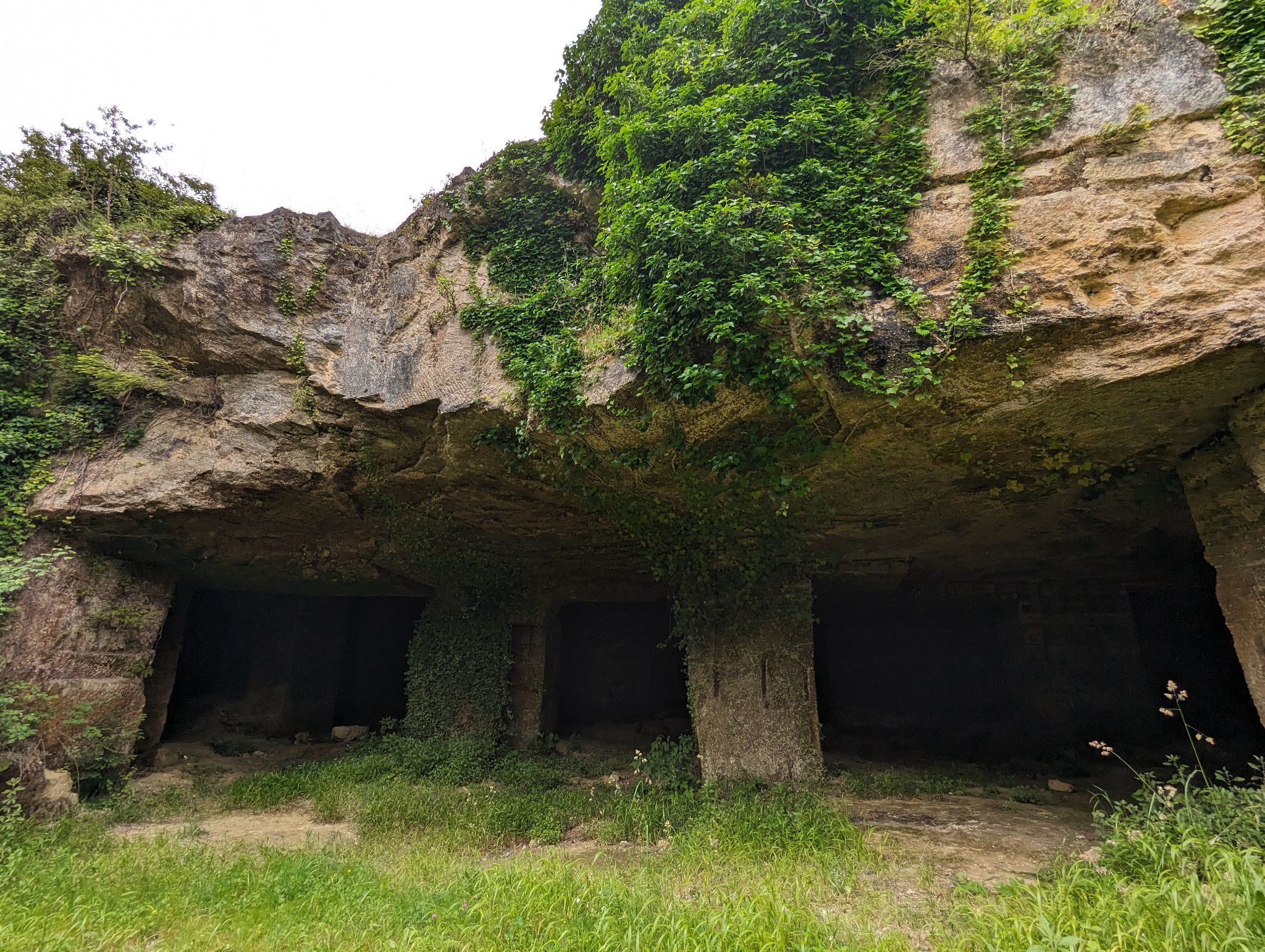 PXL 20240607 110340344