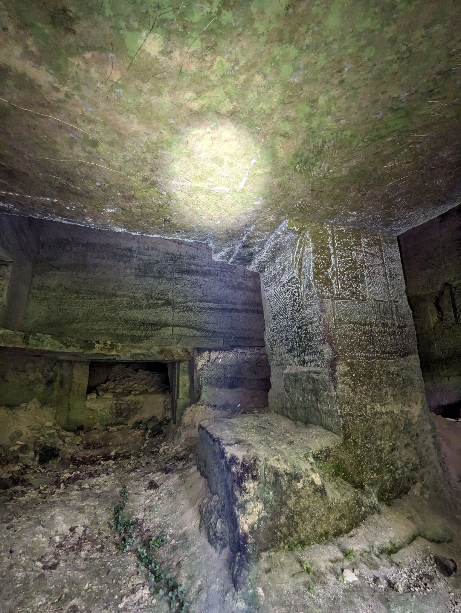 PXL 20240607 110532261