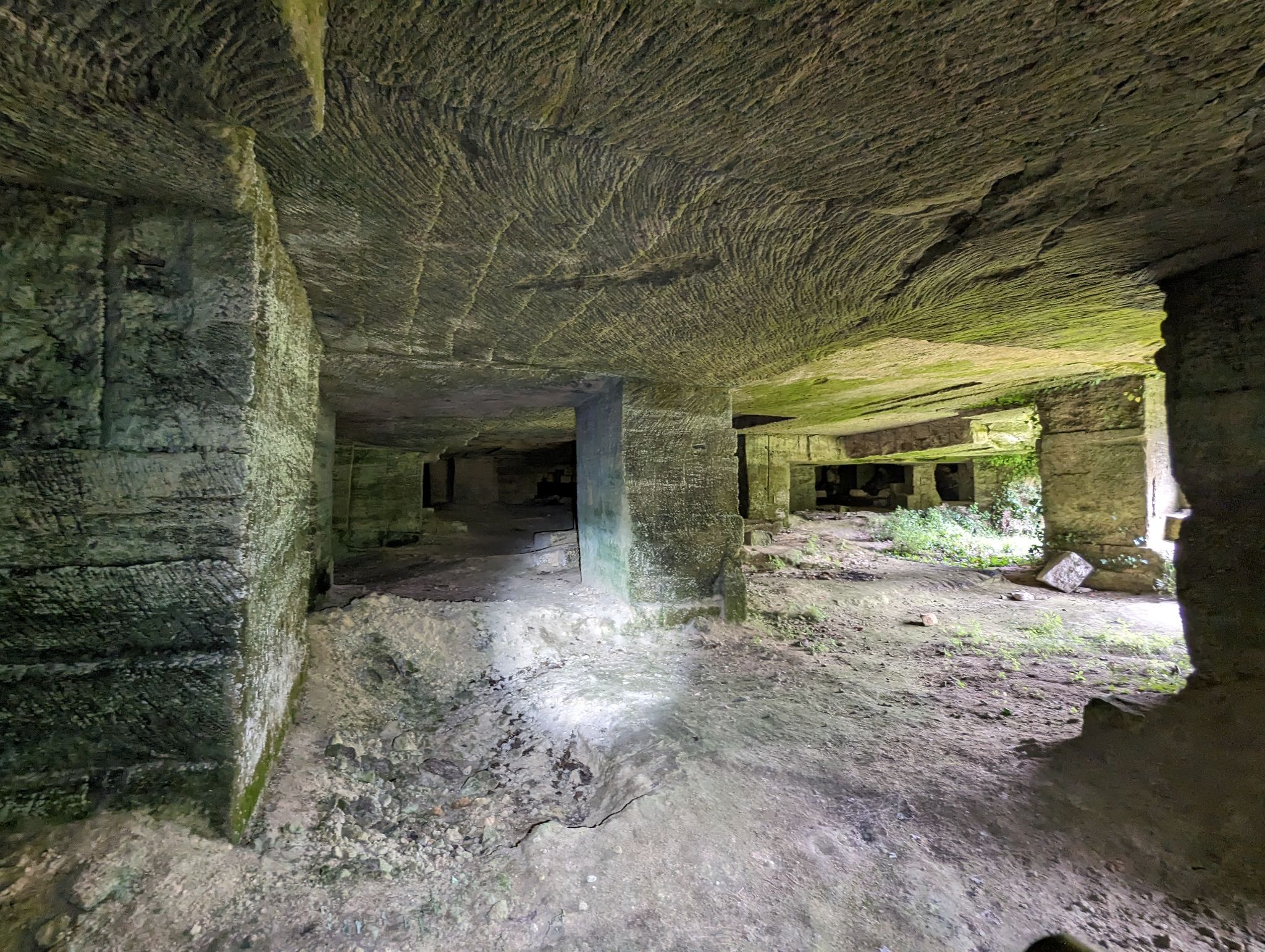 PXL 20240607 110752980