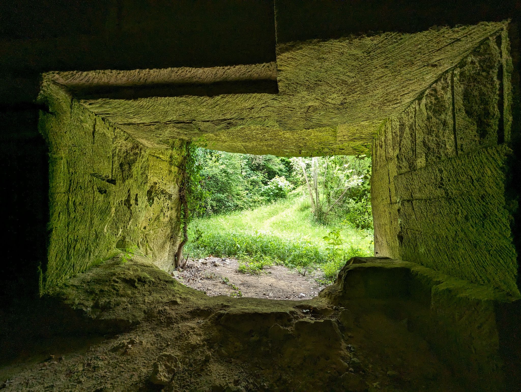 PXL 20240607 111030410.MP