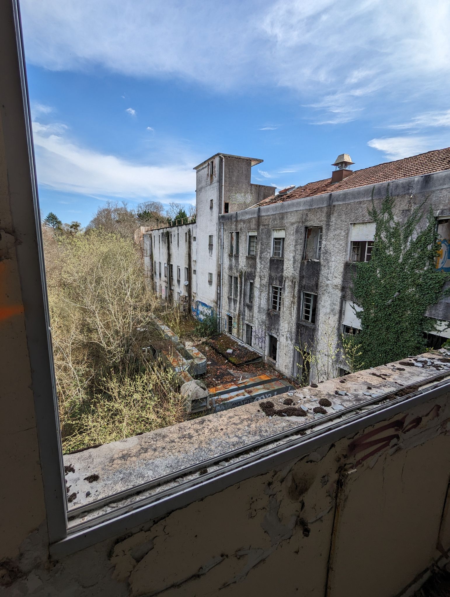 PXL 20240316 130458622