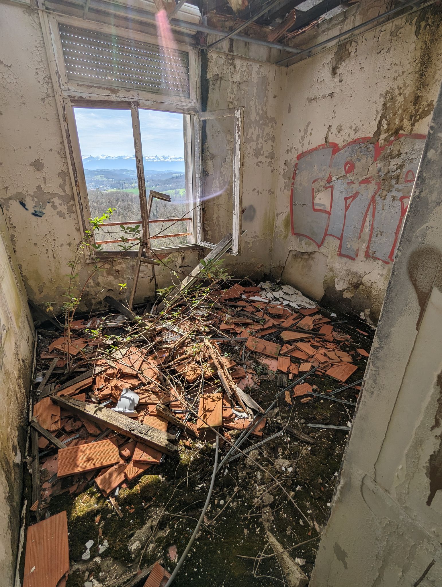 PXL 20240316 130626832