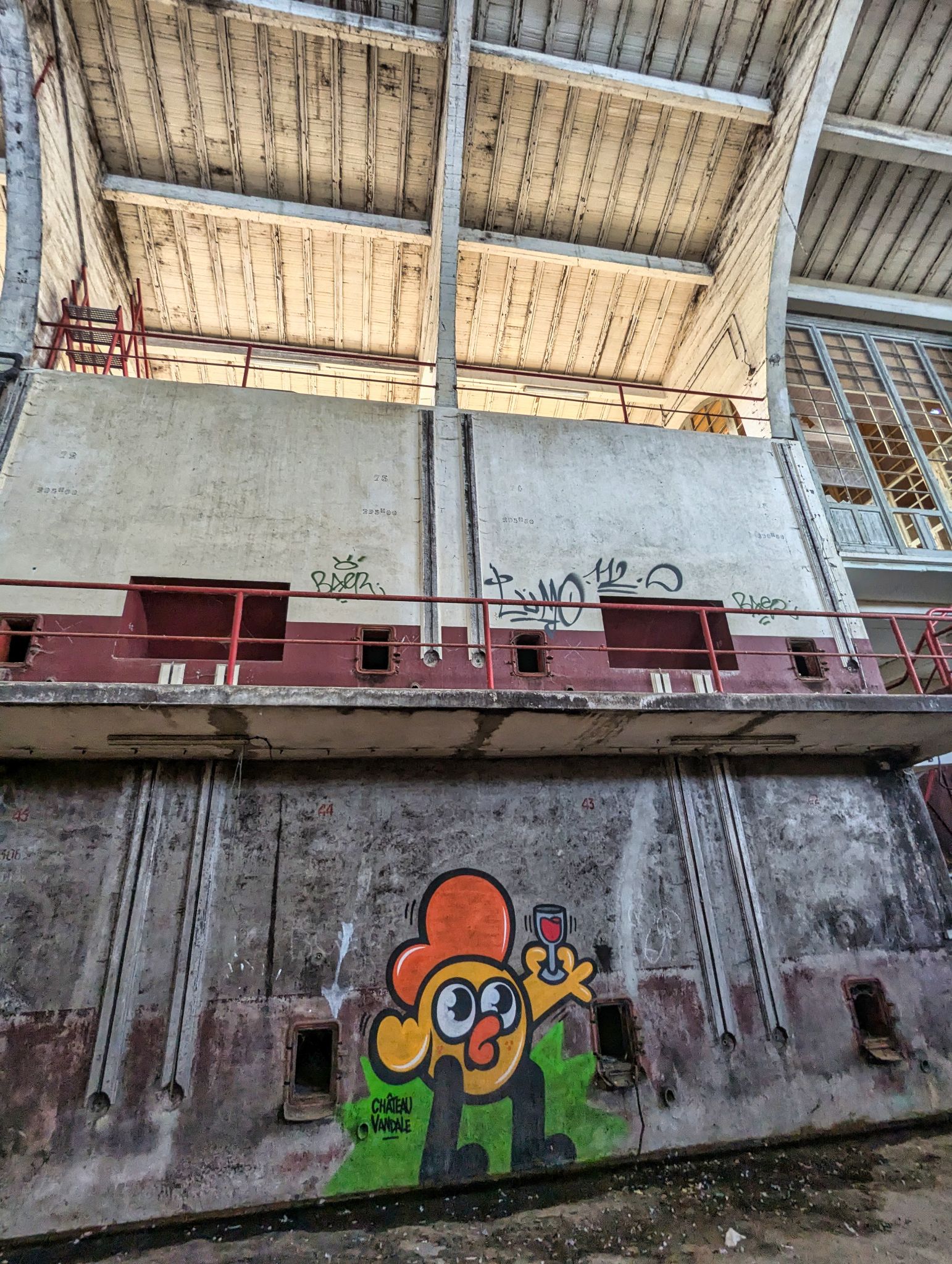 PXL 20241124 131926853