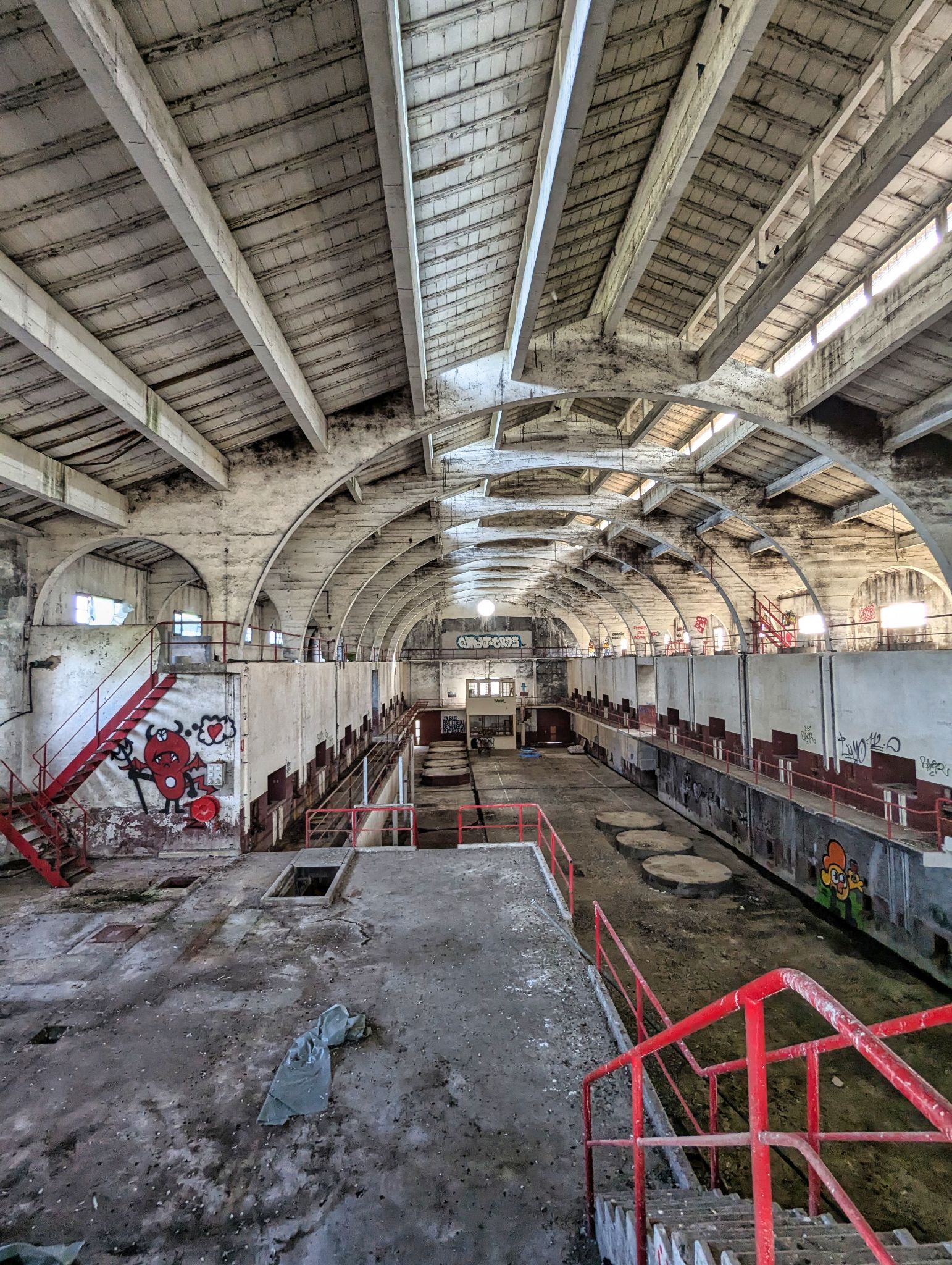 PXL 20241124 132031562