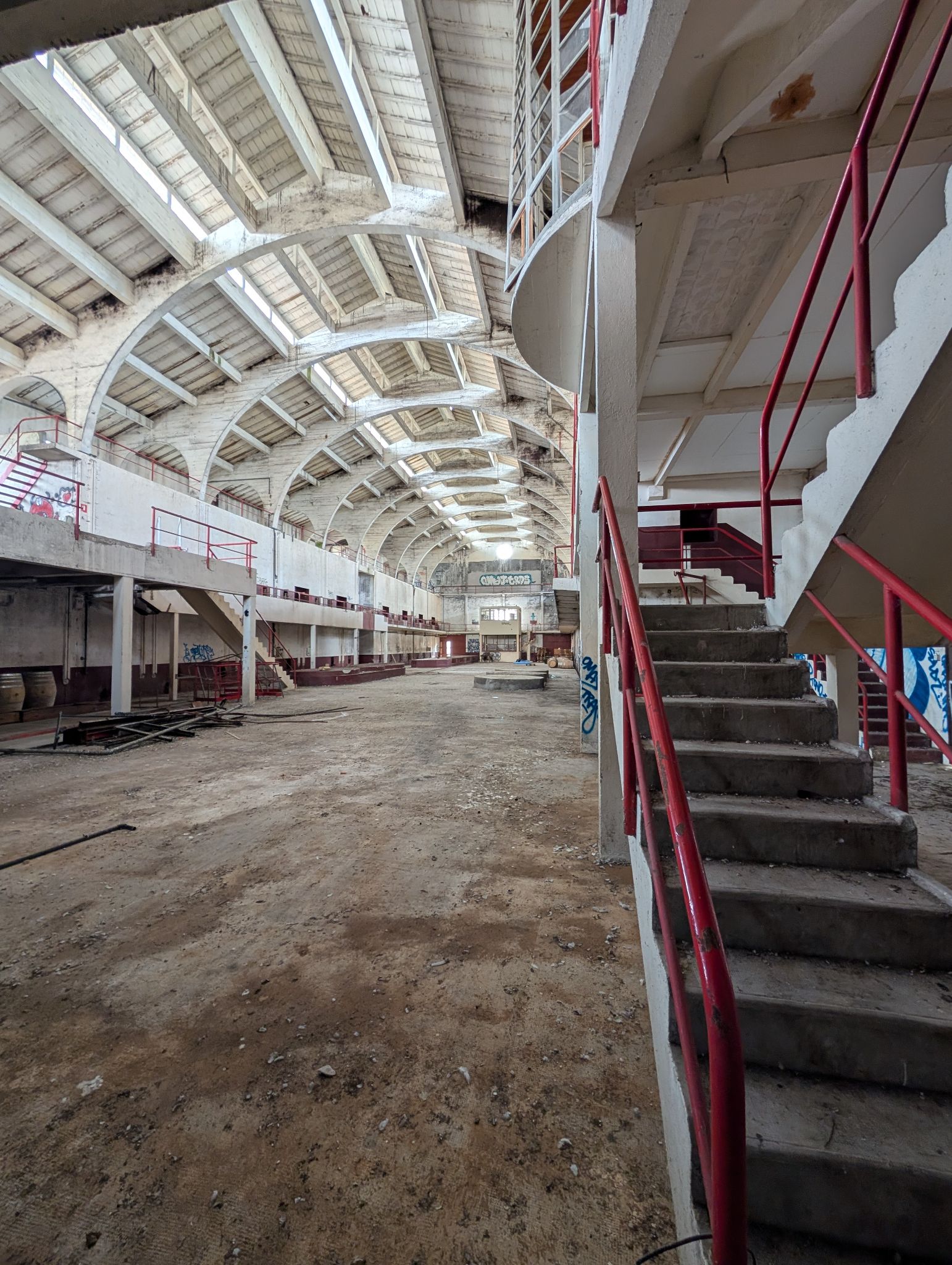 PXL 20250316 1153082051