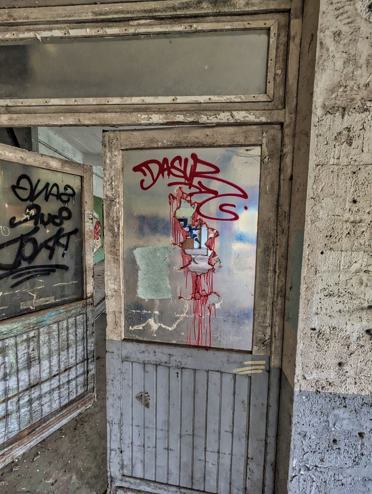 PXL 20241124 091615683