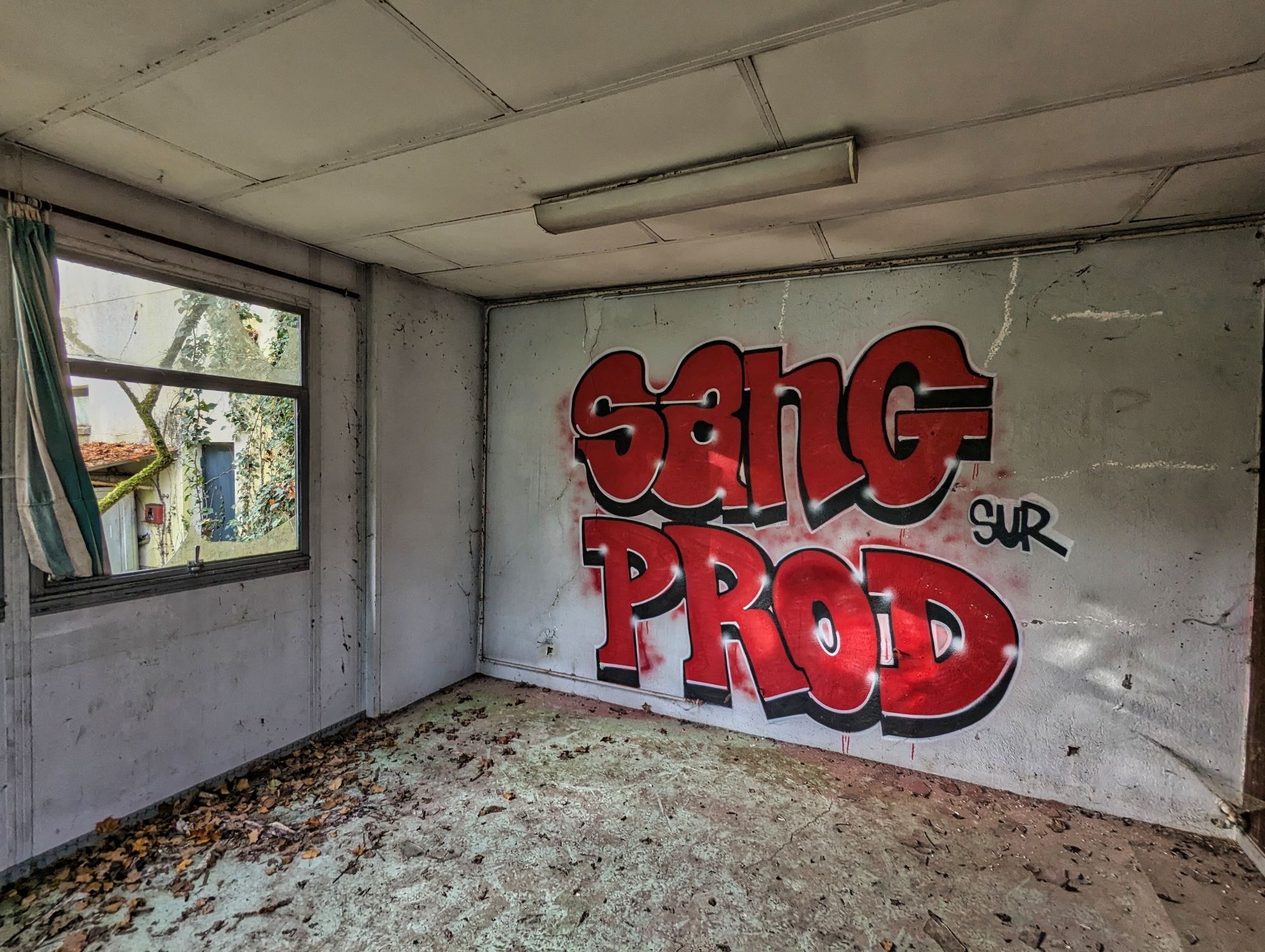 PXL 20241124 091740852