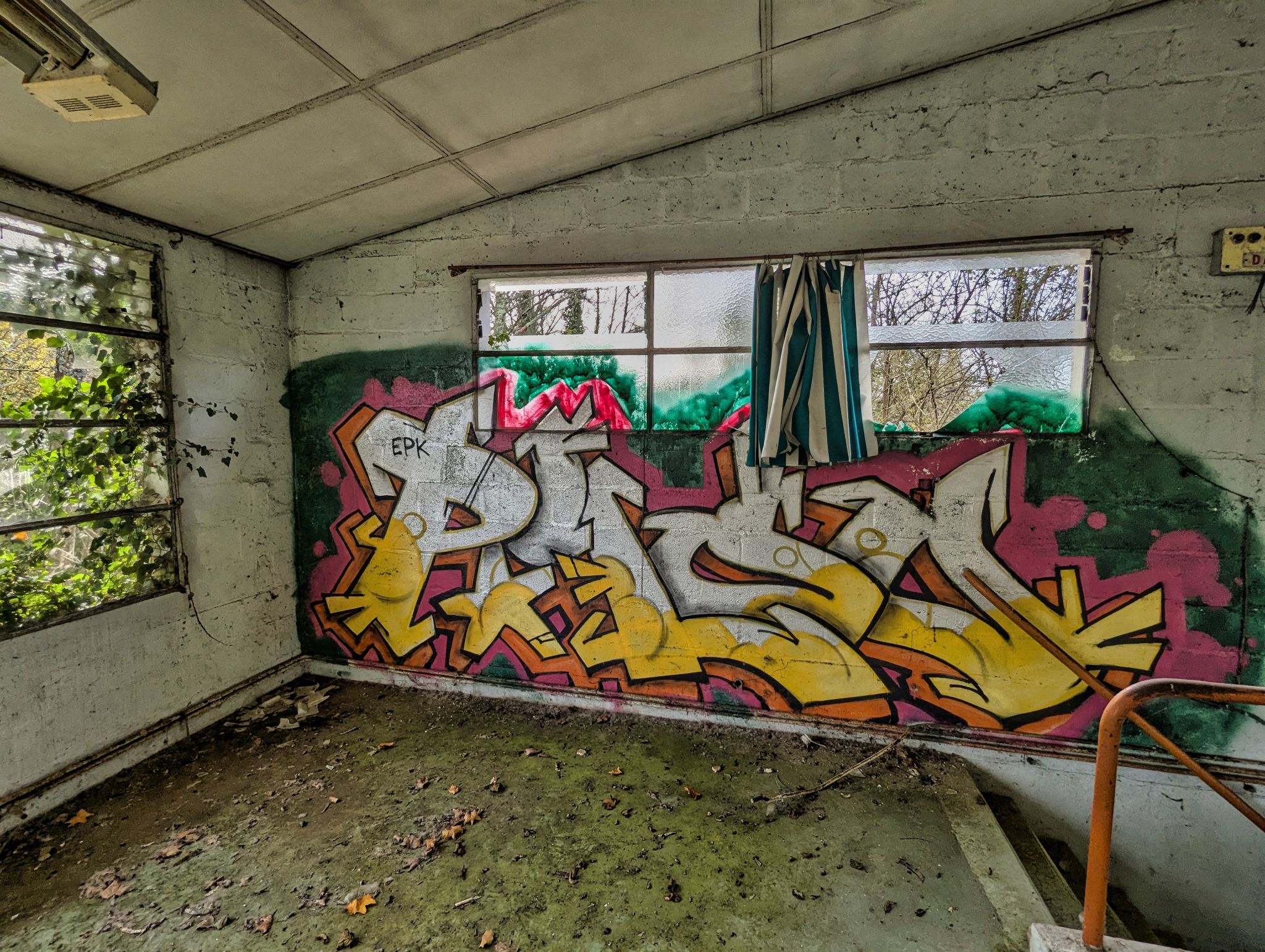 PXL 20241124 092152727