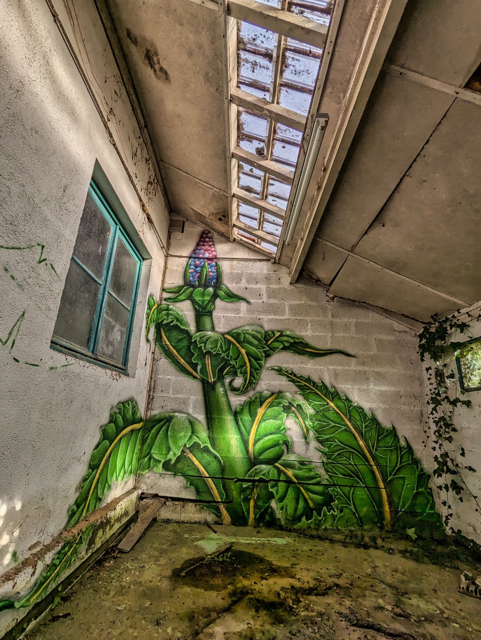 PXL 20241124 092817290