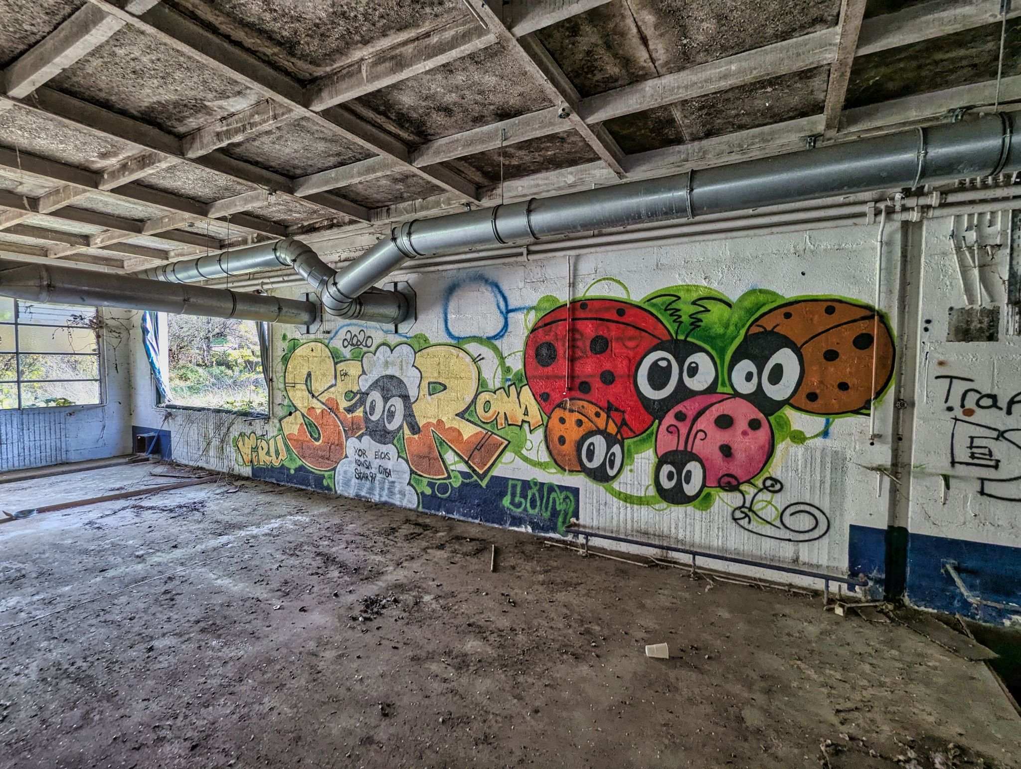 PXL 20241124 093857481