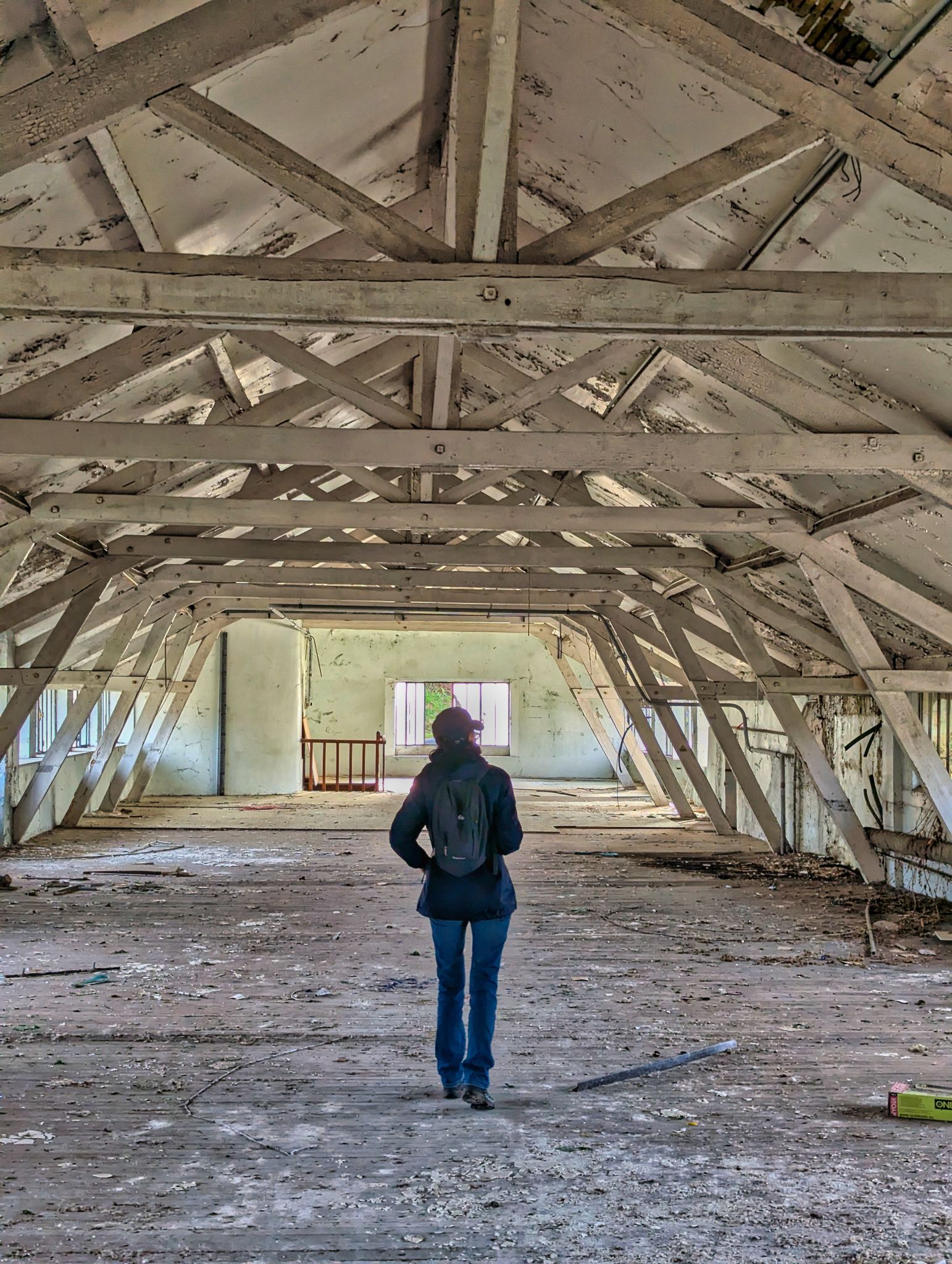 PXL 20241124 094641157