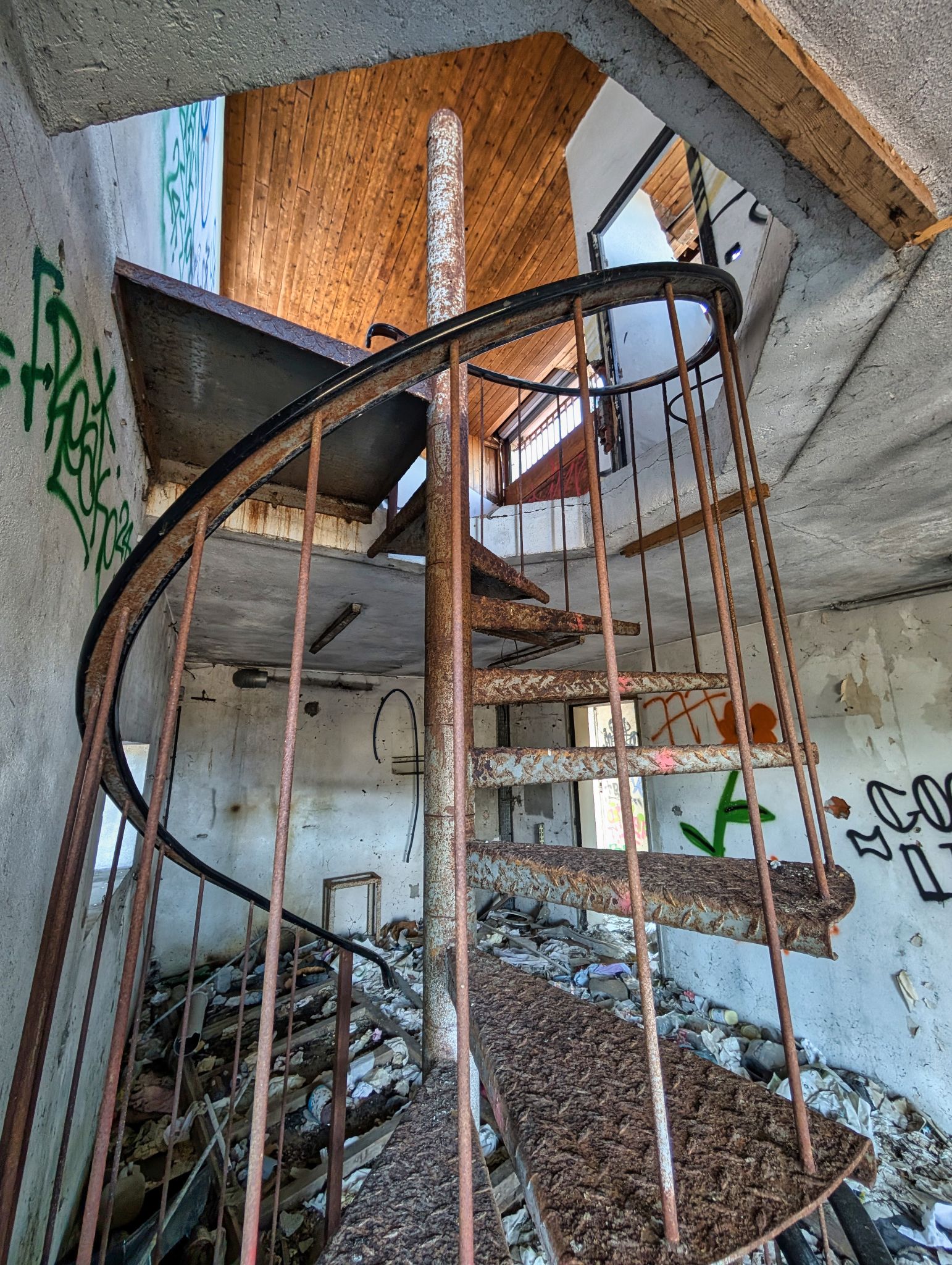 PXL 20250319 142810908