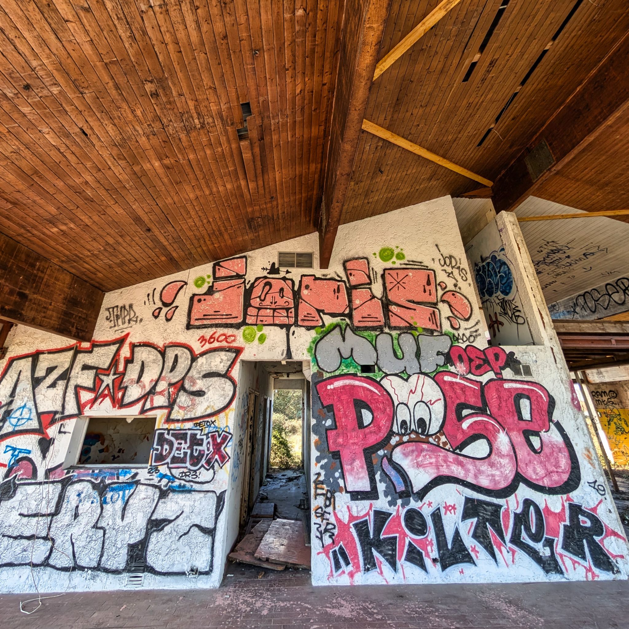 PXL 20250319 143706438