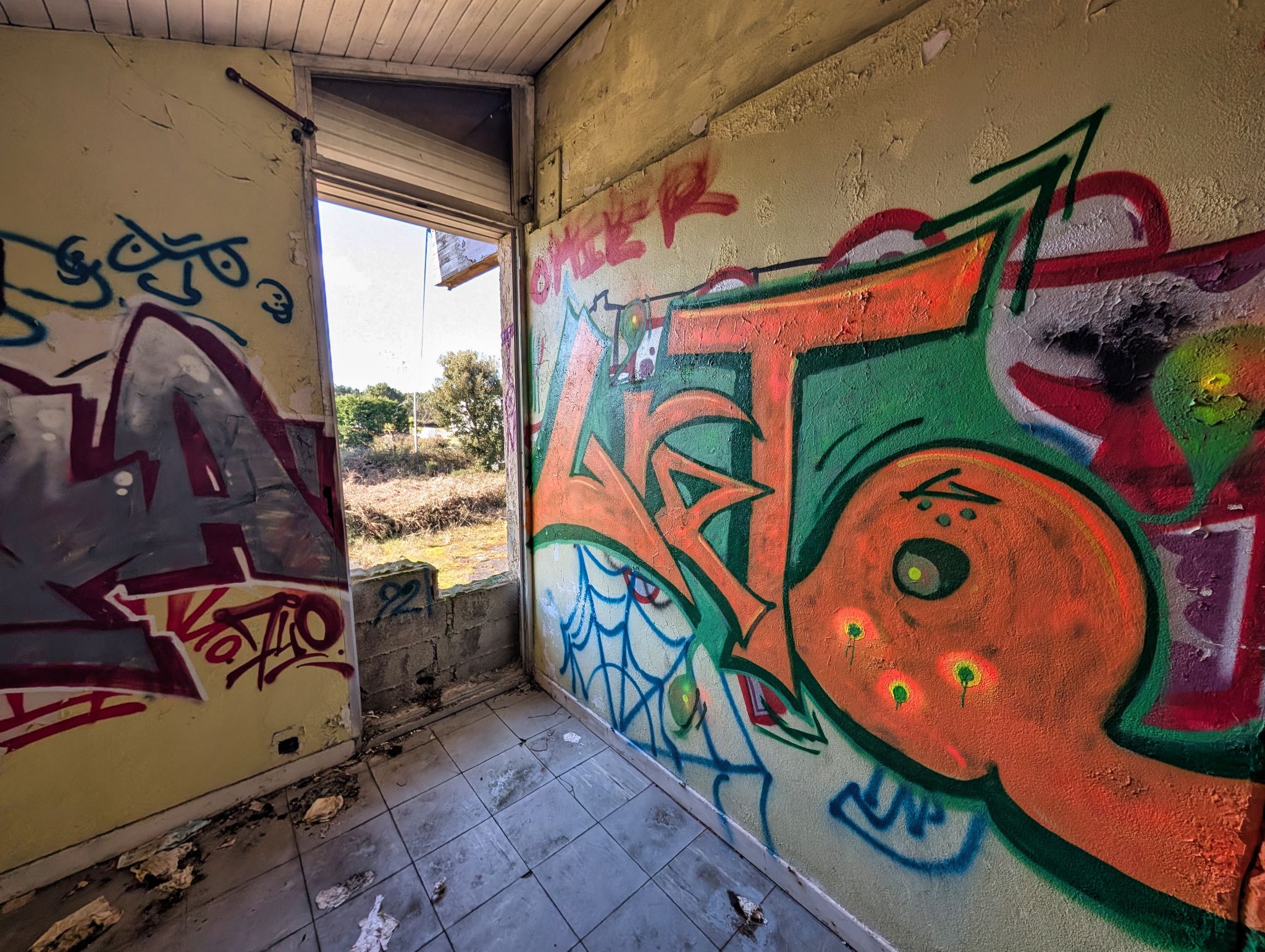 PXL 20250319 143842205