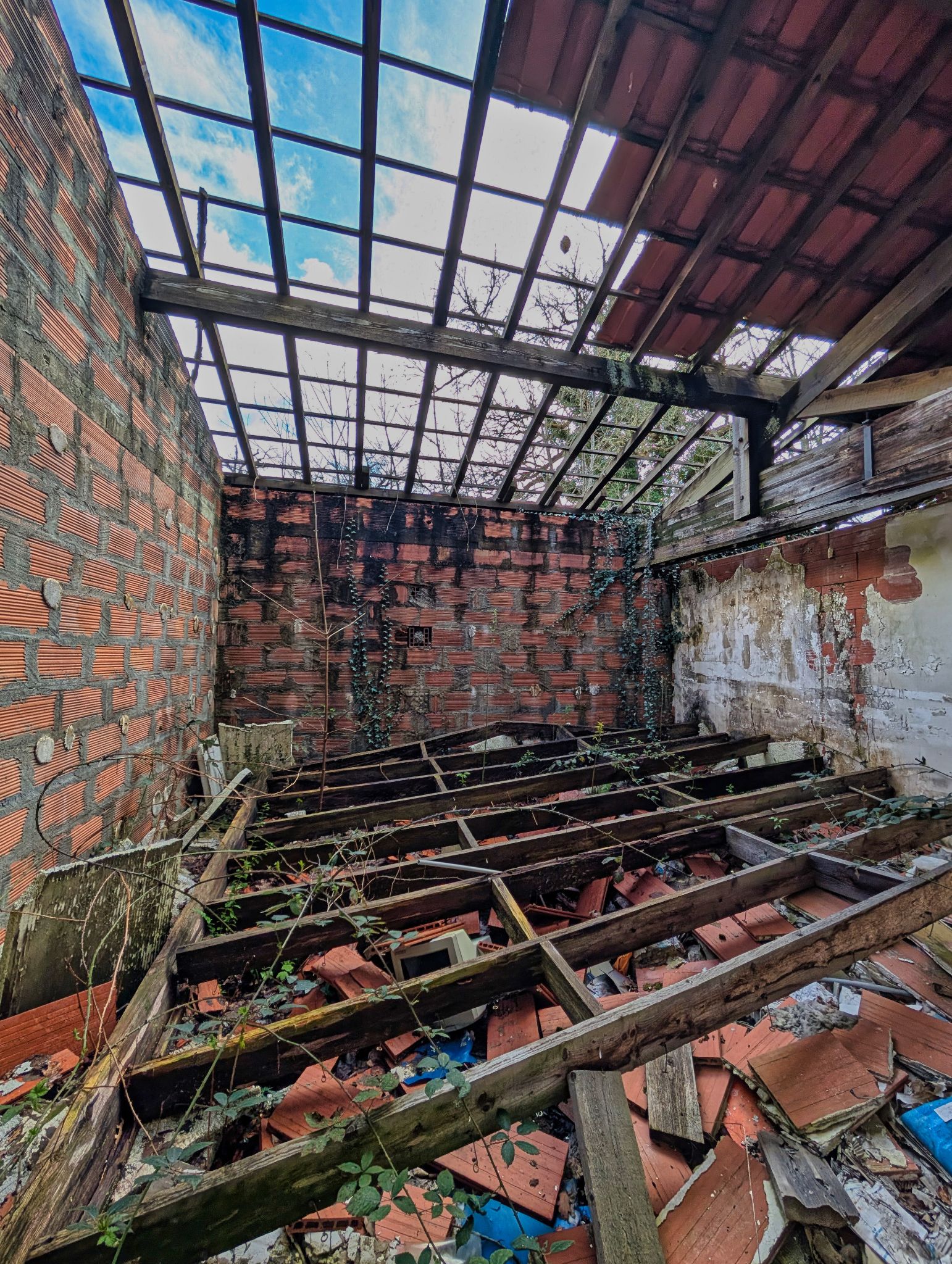 PXL 20250323 145409112