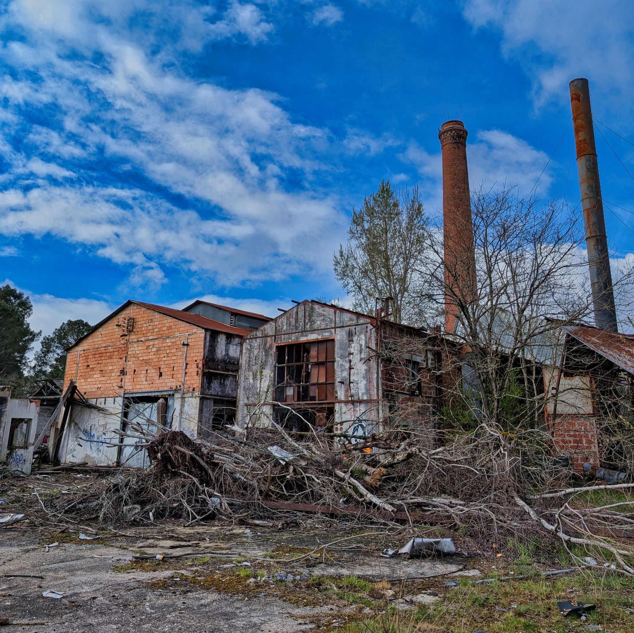 PXL 20250323 145557914