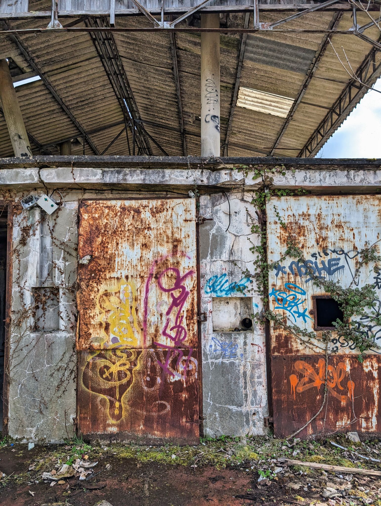 PXL 20250323 145626239