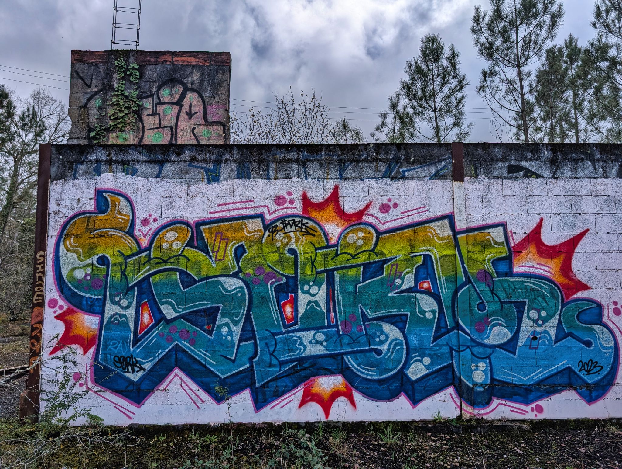 PXL 20250323 150144330