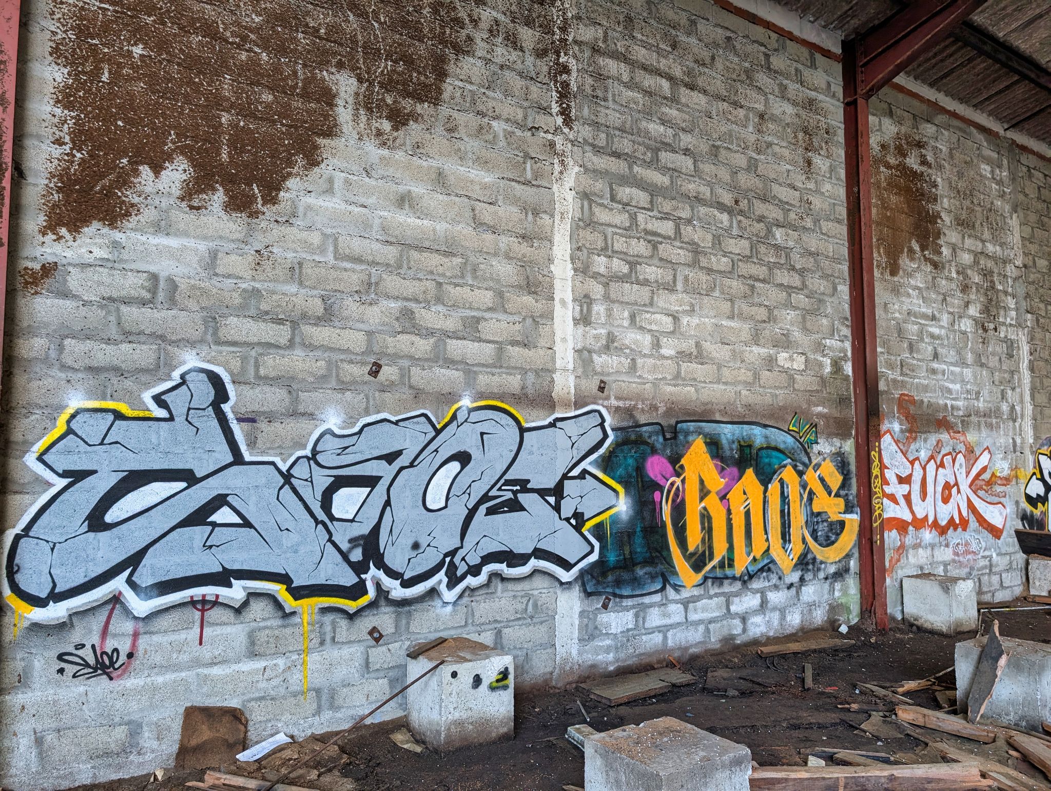 PXL 20250323 150522183