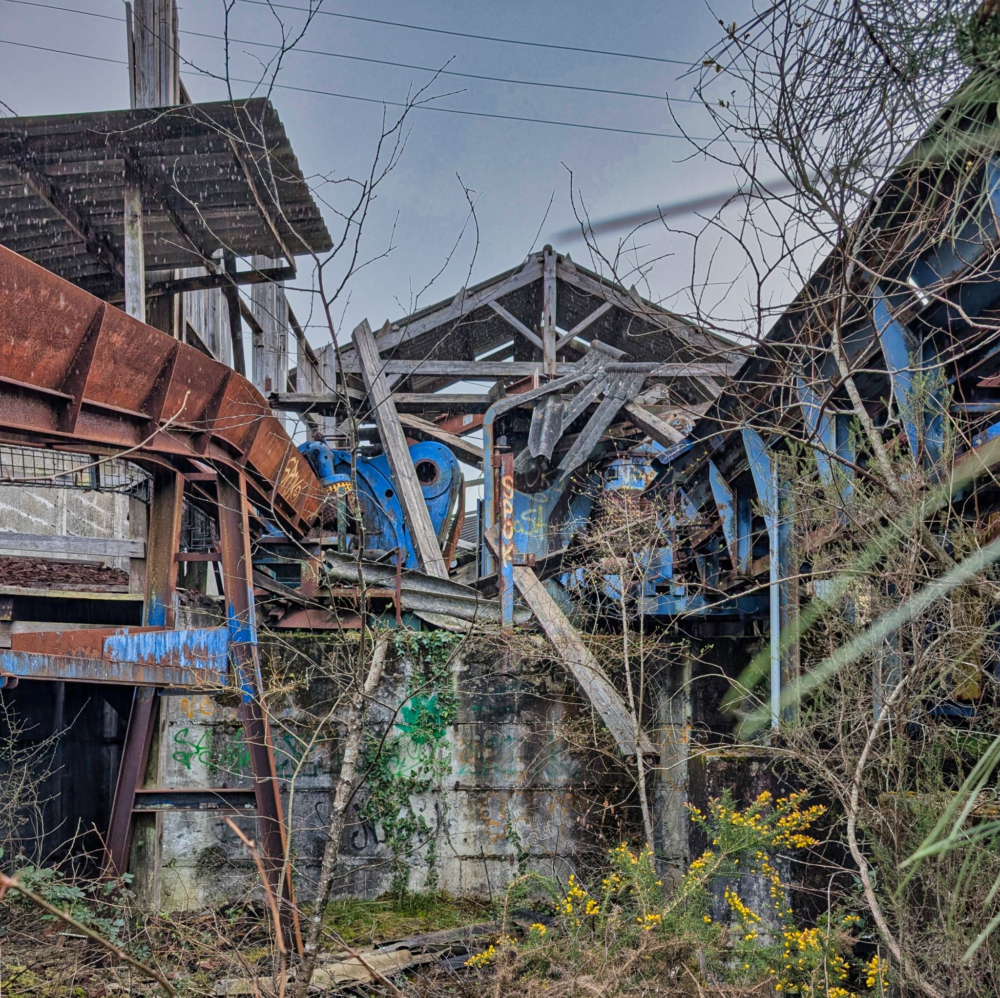 PXL 20250323 151144502.MP