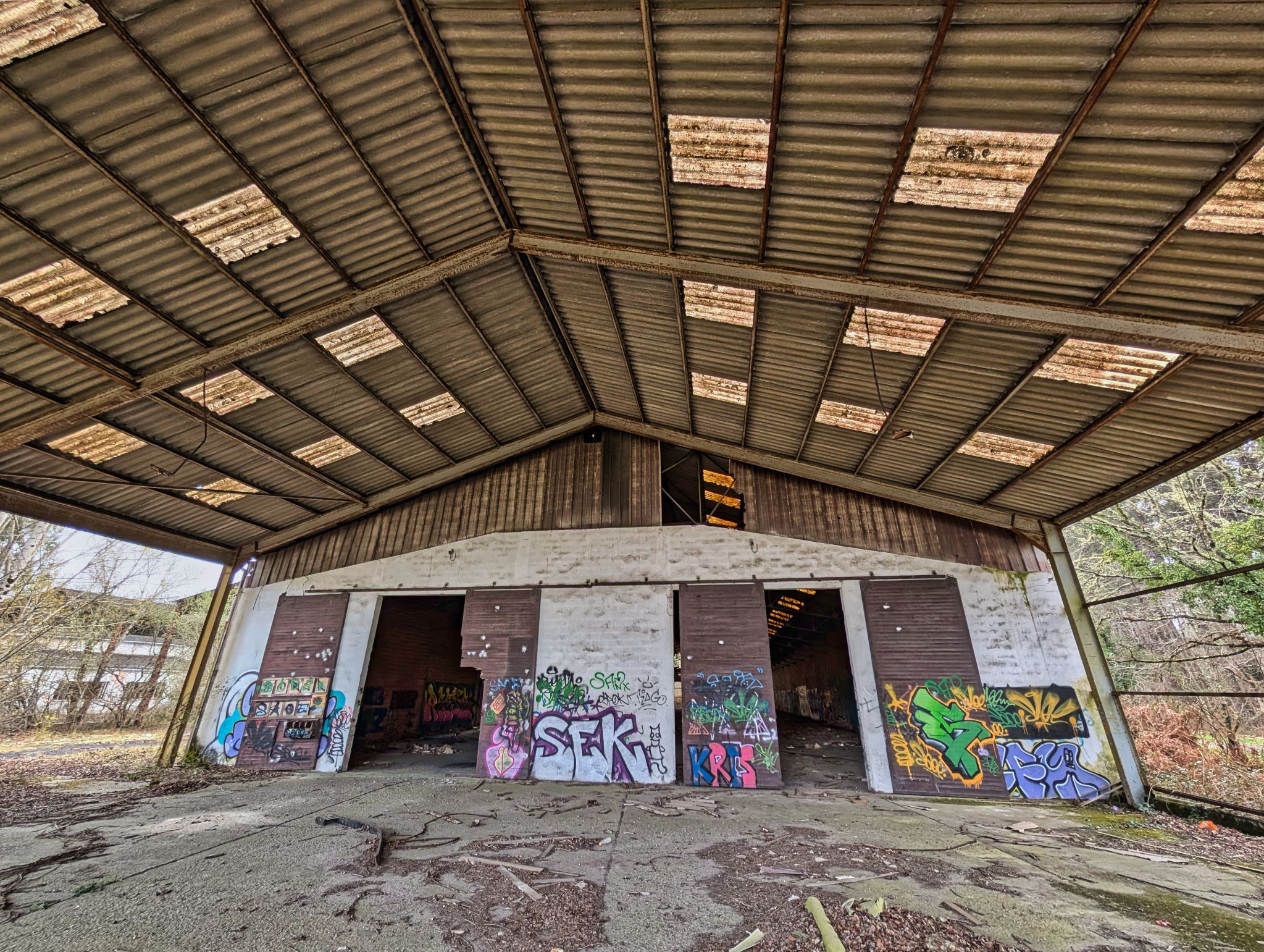 PXL 20250323 151703884