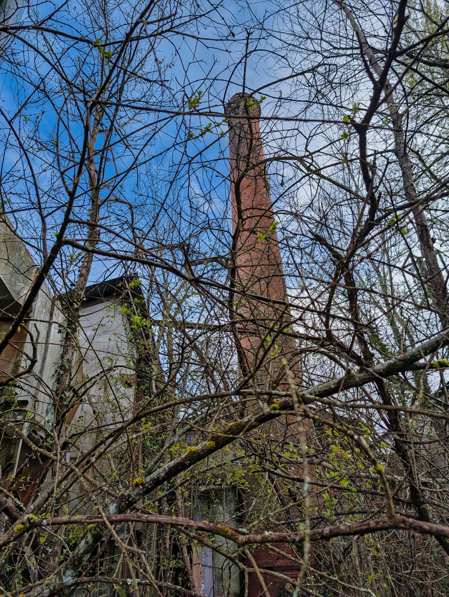 PXL 20250323 153125122