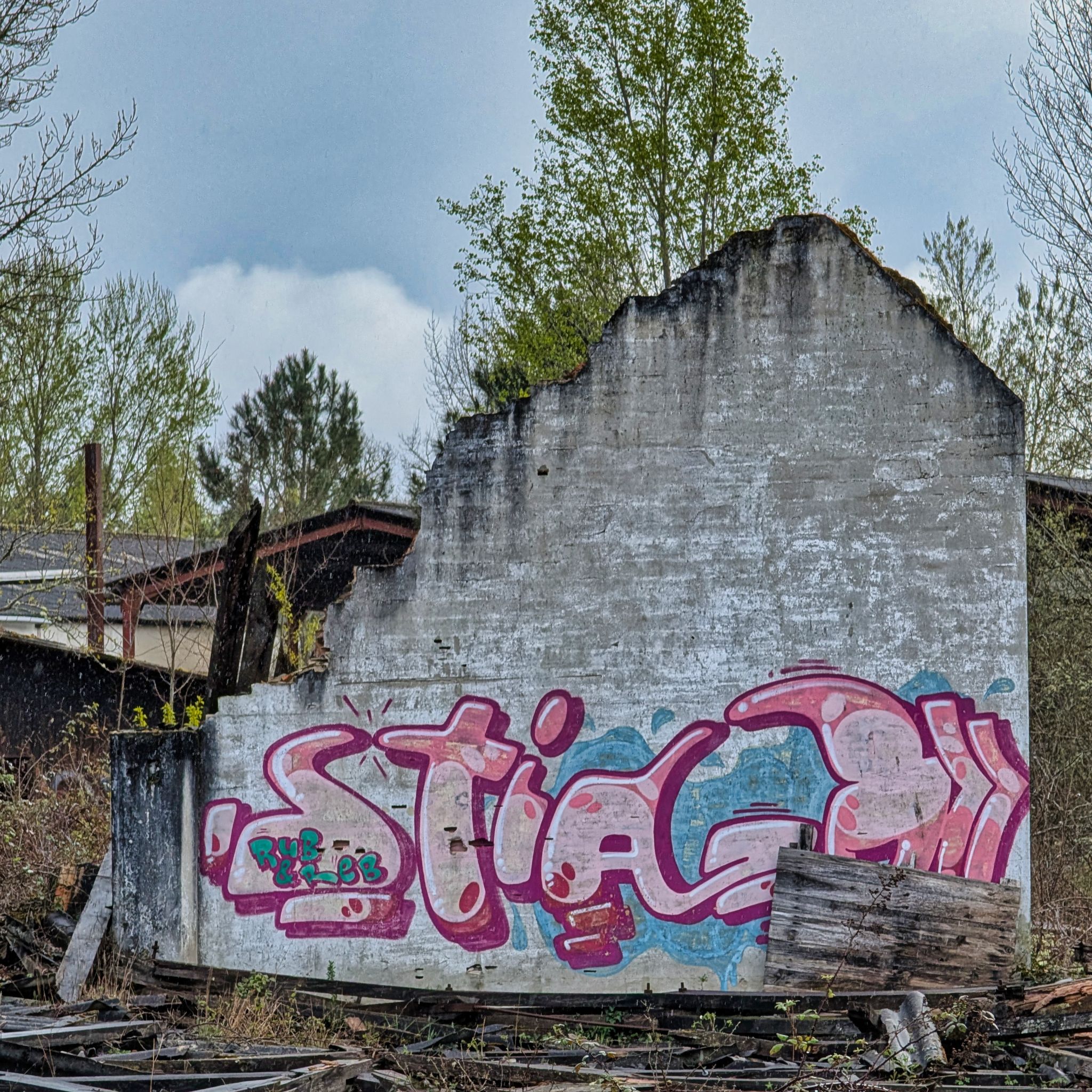 PXL 20250323 153637613