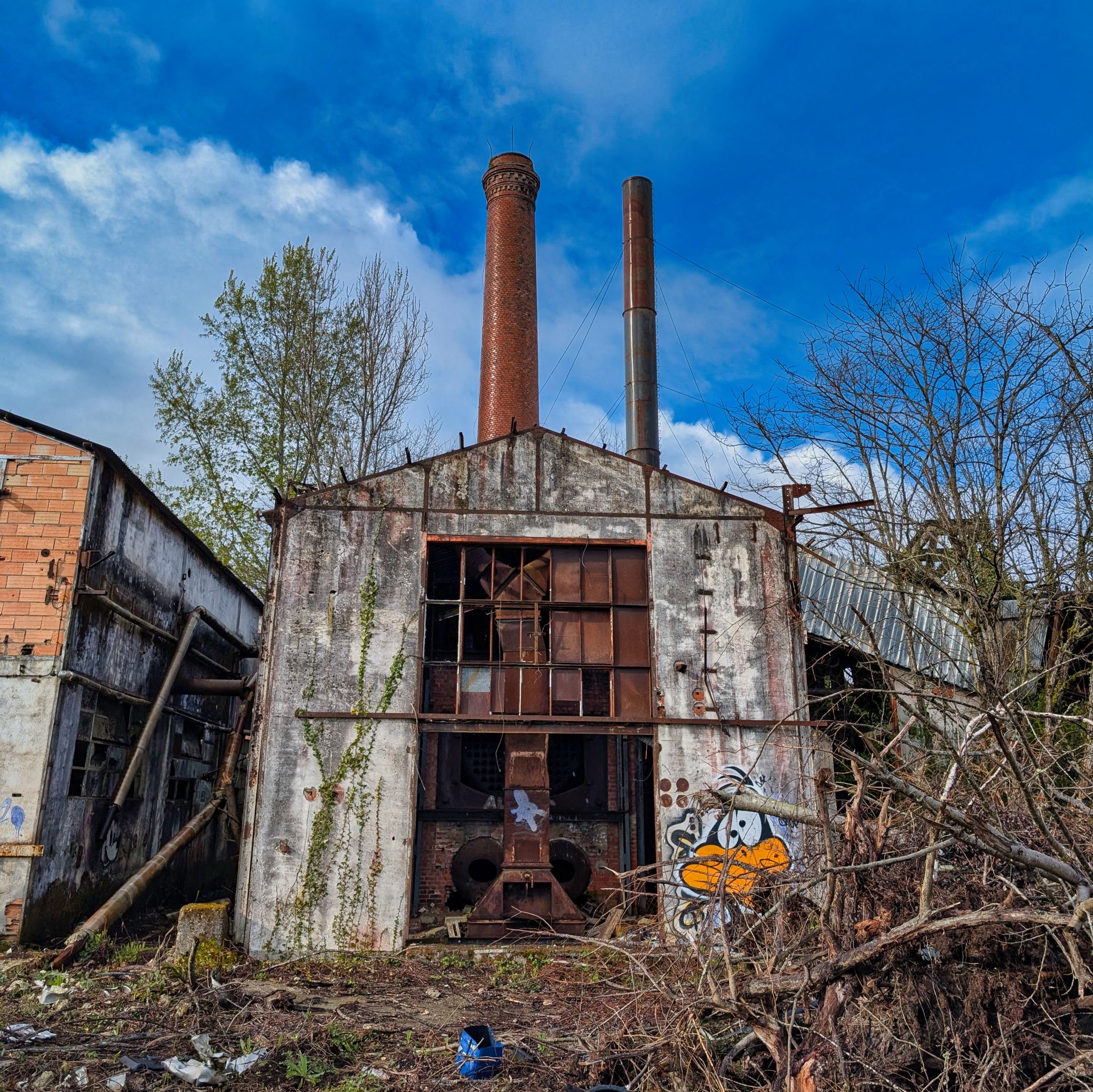 PXL 20250323 153950422