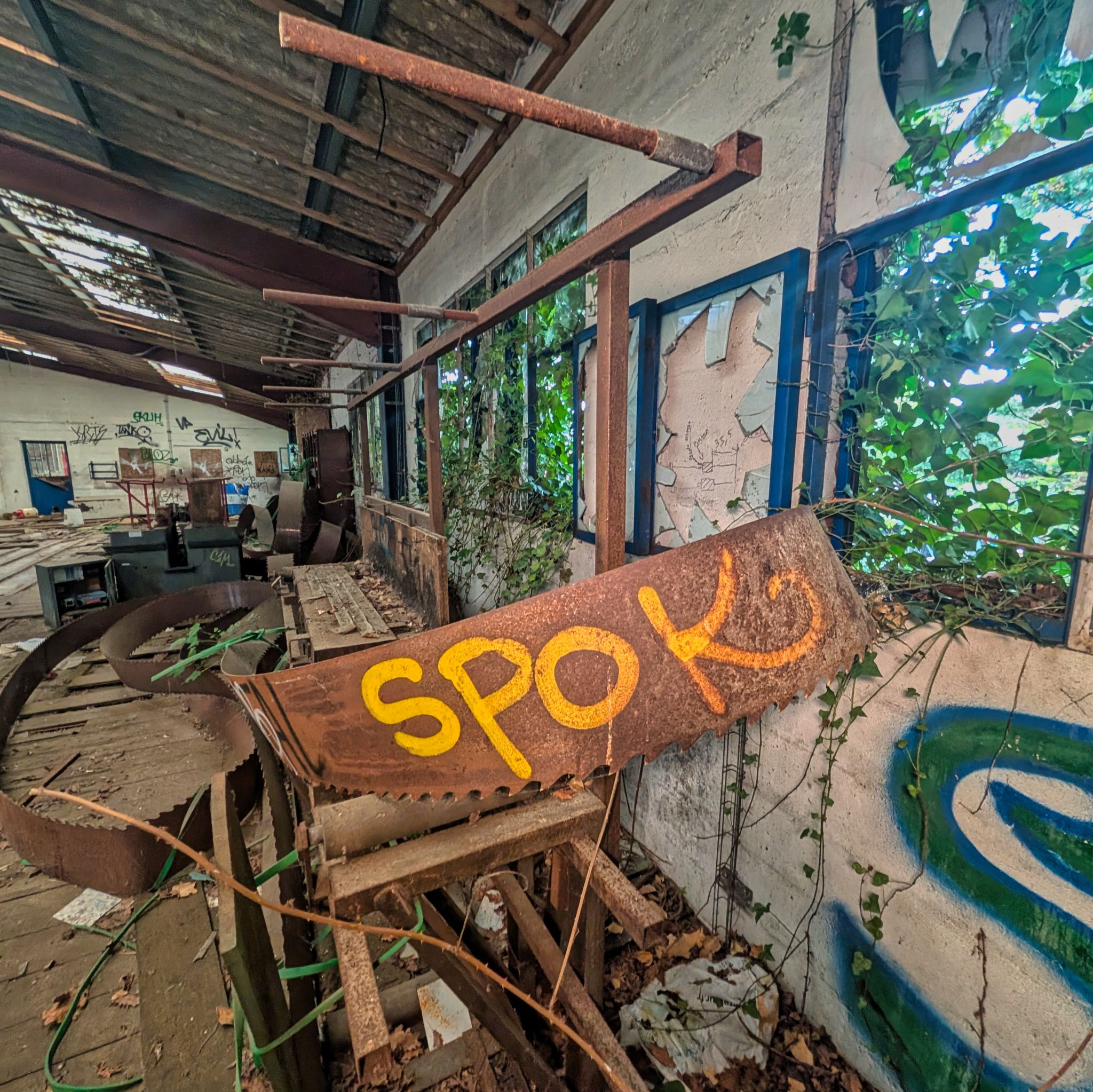 PXL 20250907 073431378