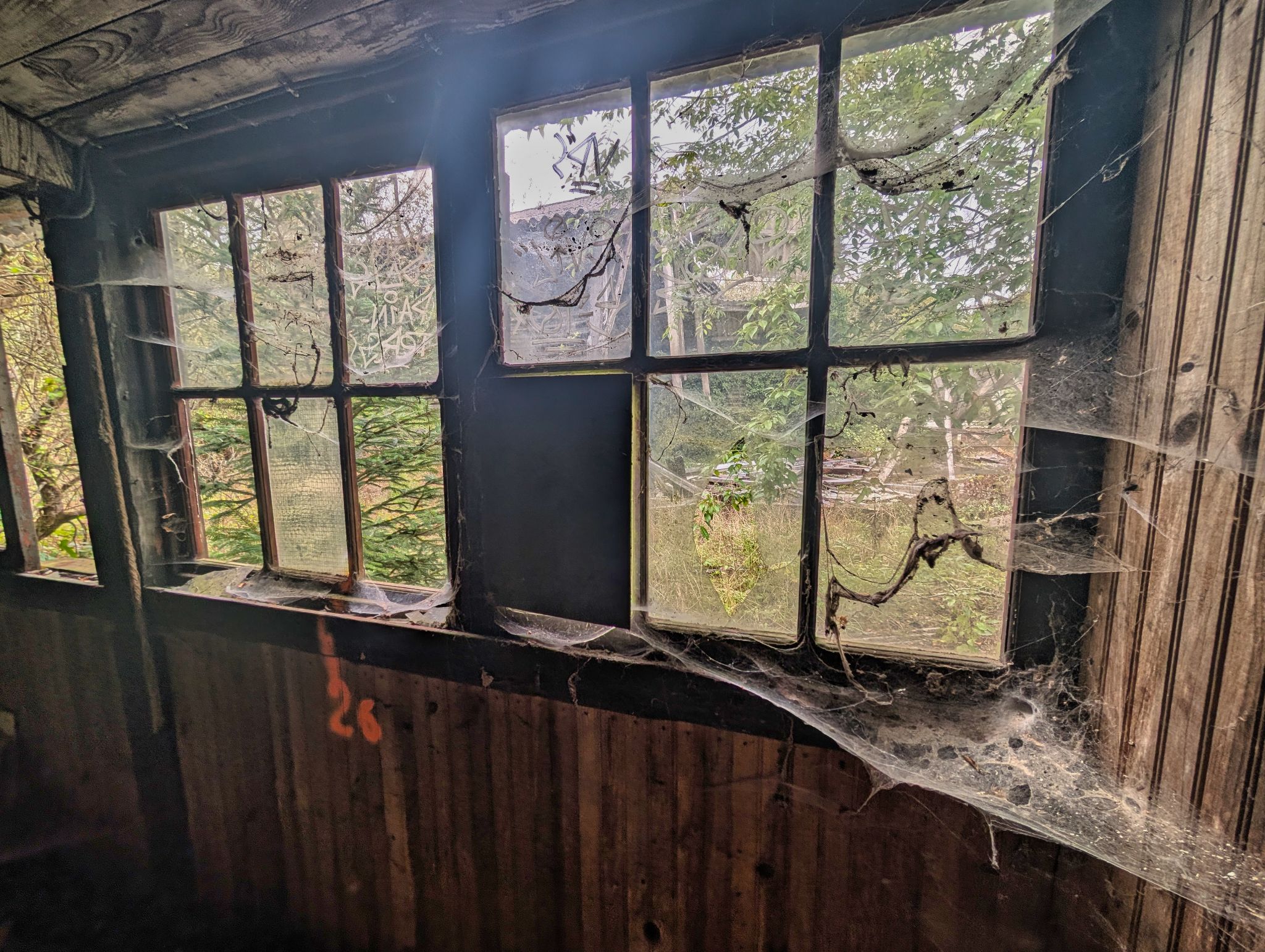 PXL 20250907 080035906