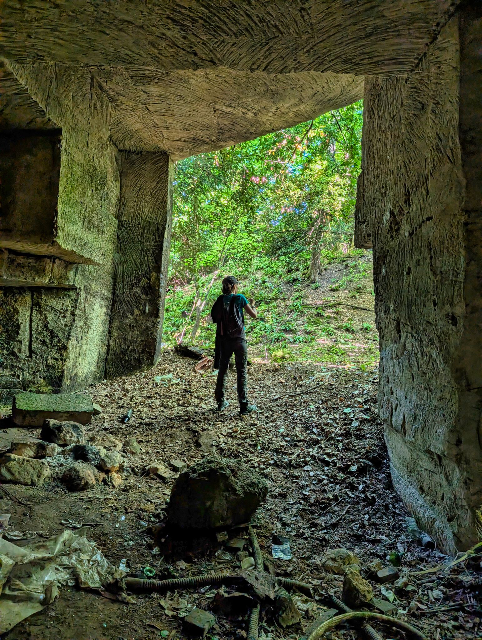 PXL 20250629 080257669