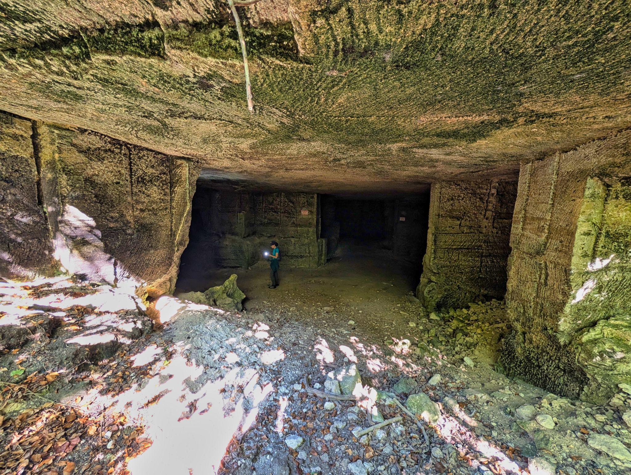 PXL 20250629 081131416