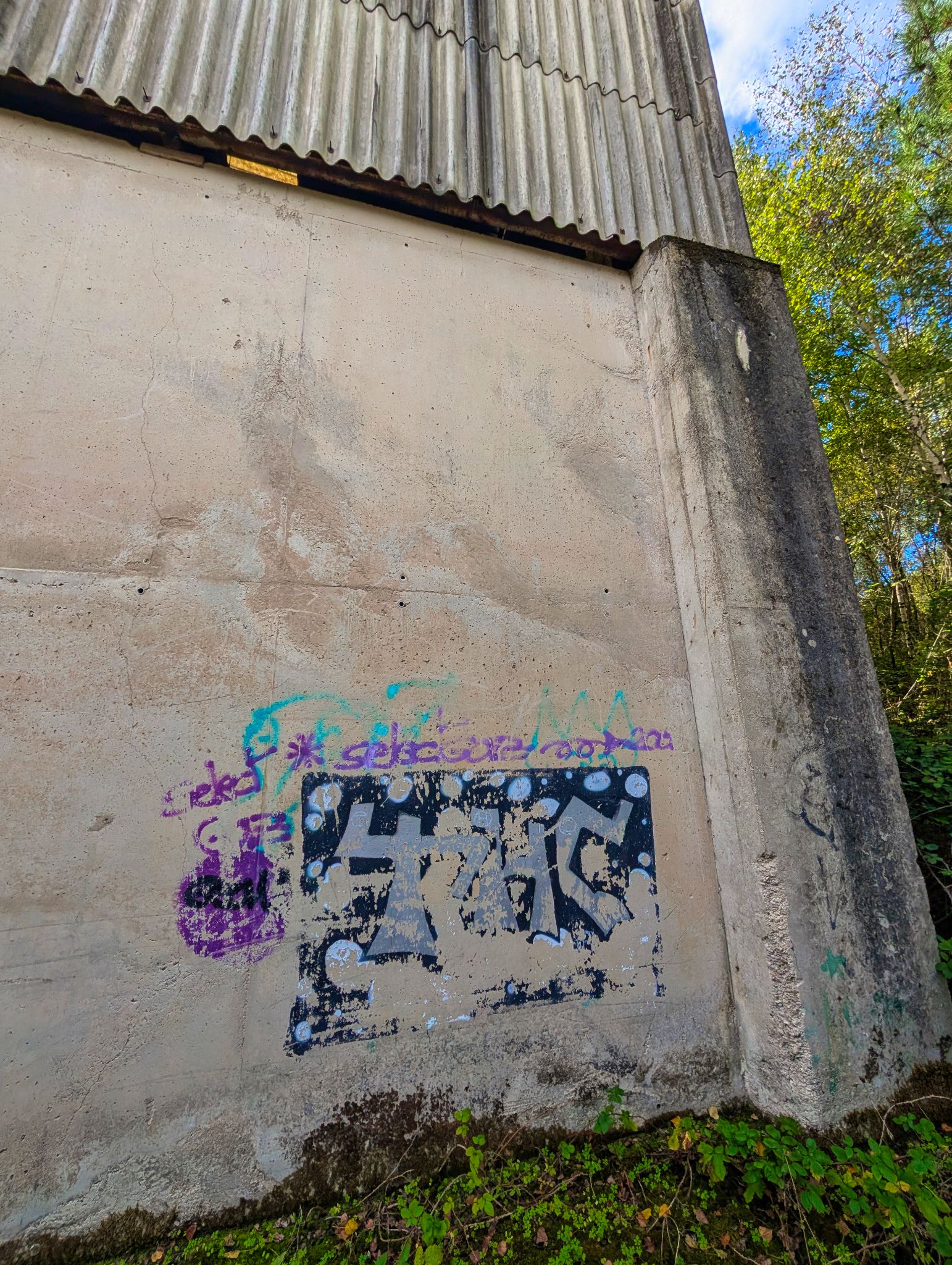 PXL 20251005 112504407