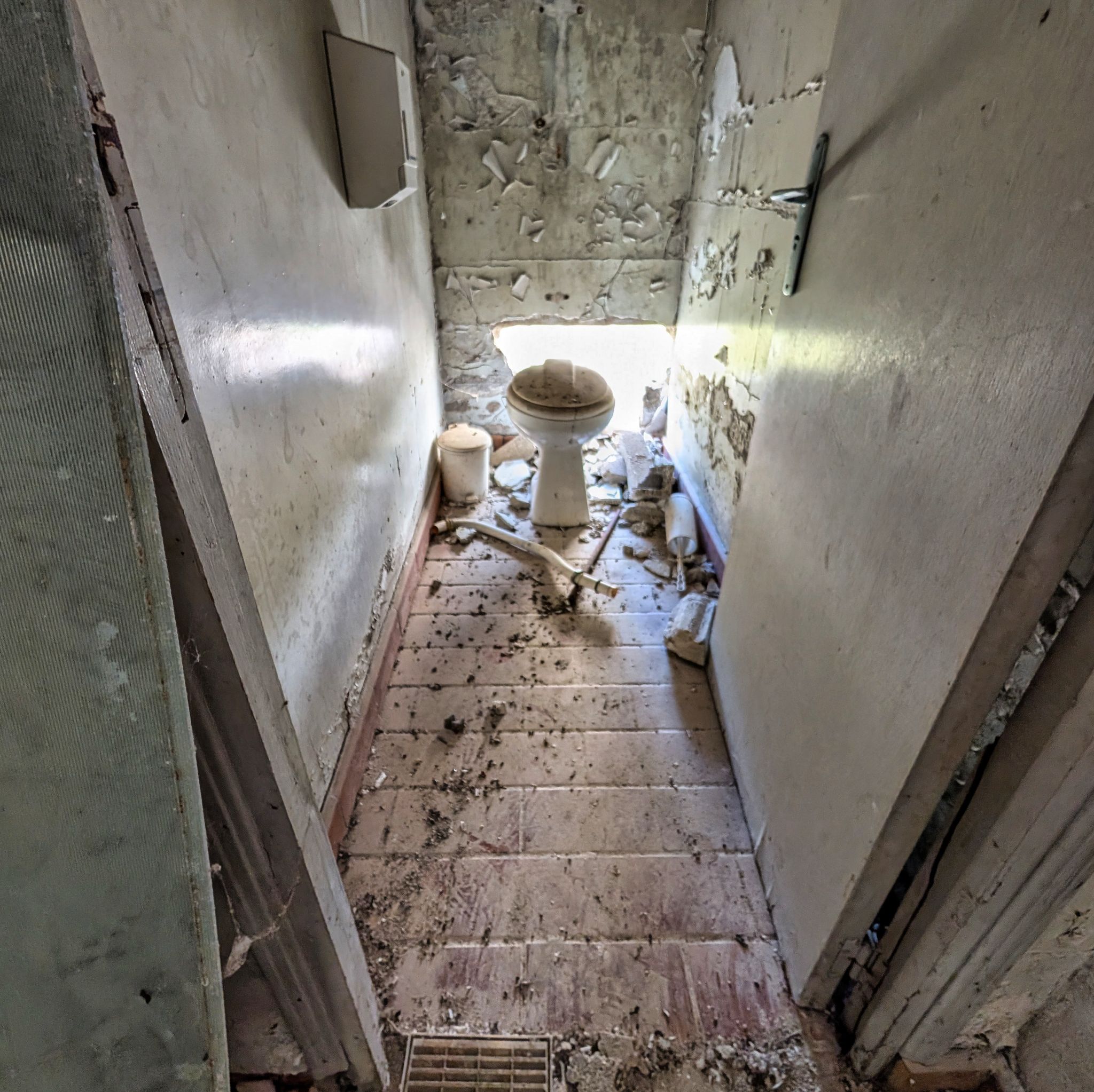 PXL 20251005 113853910