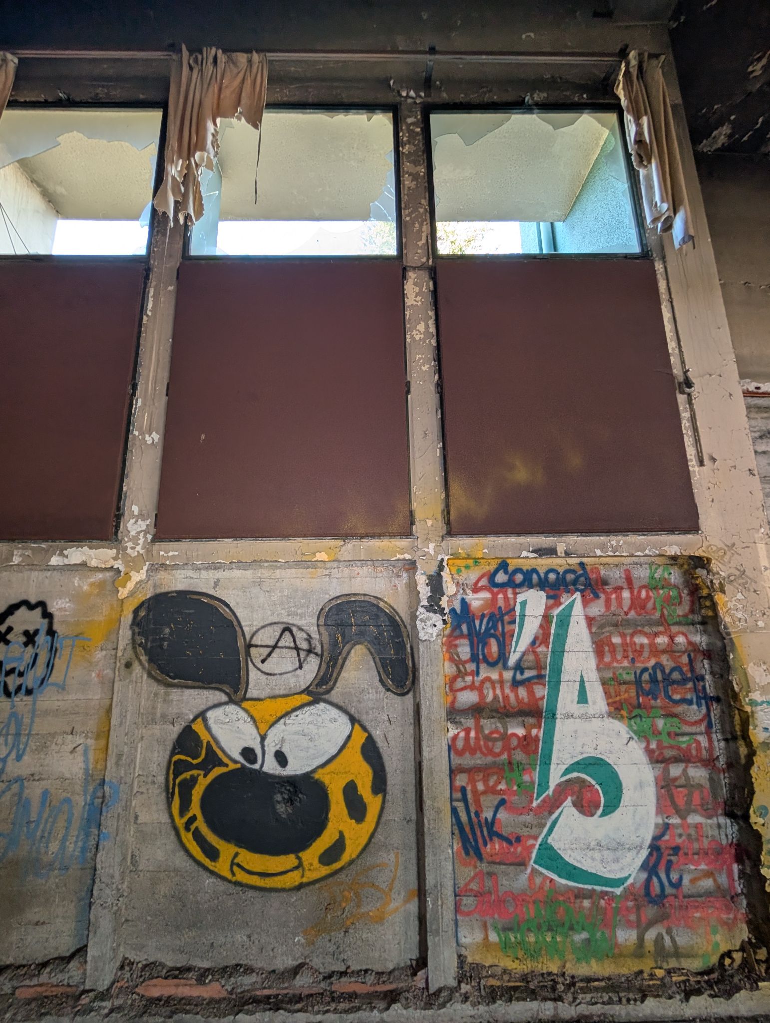 PXL 20251122 124930711