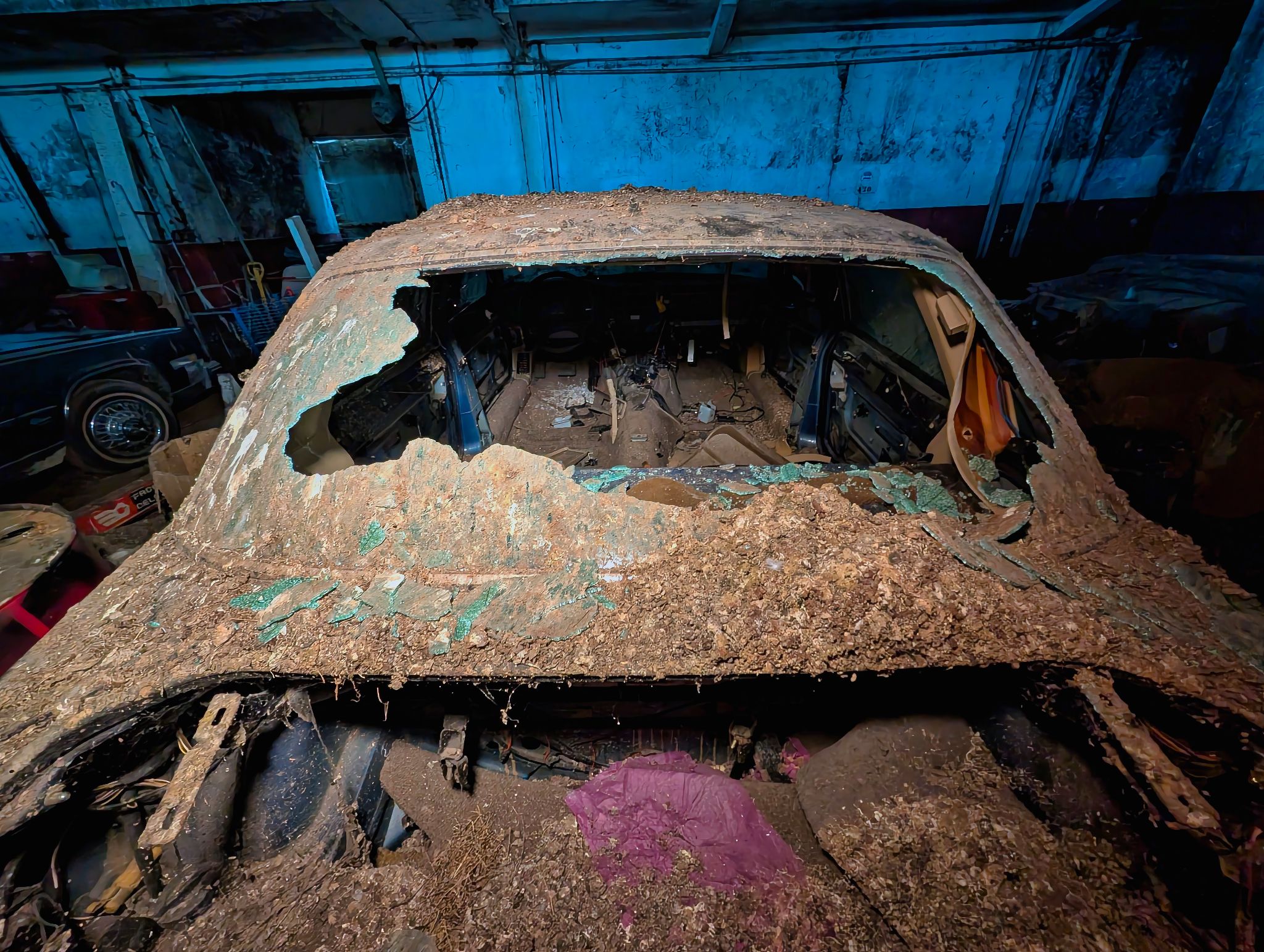 PXL 20250727 080030510