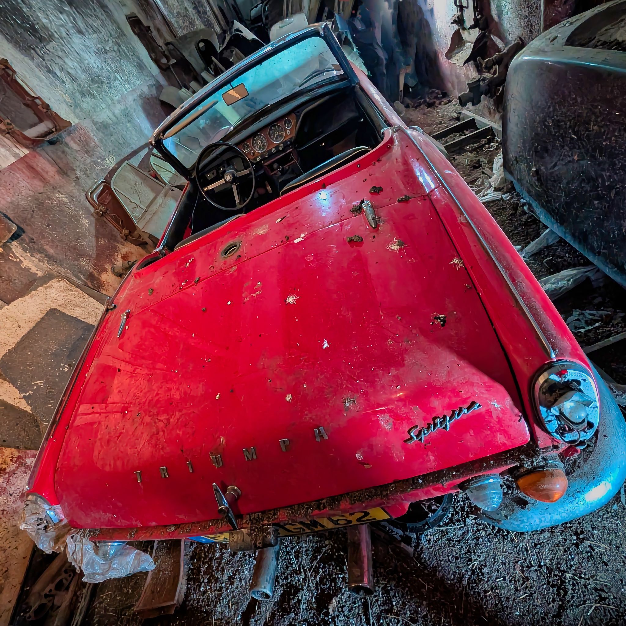 PXL 20250727 080336590