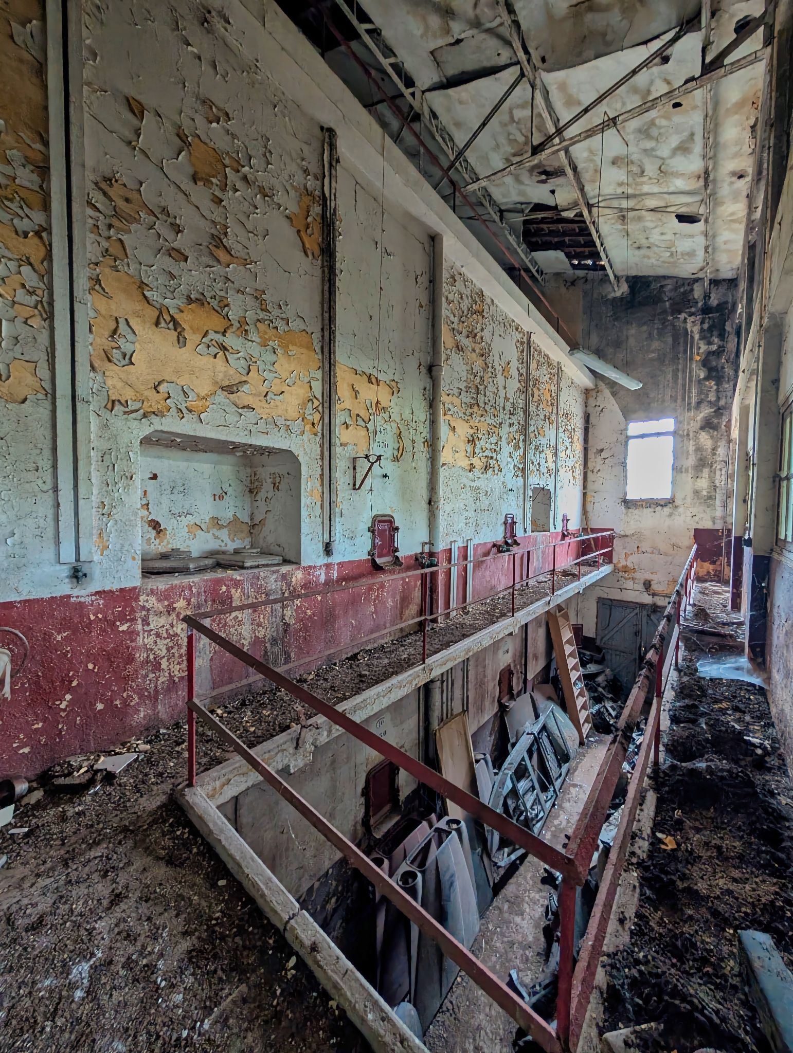 PXL 20250727 080802566