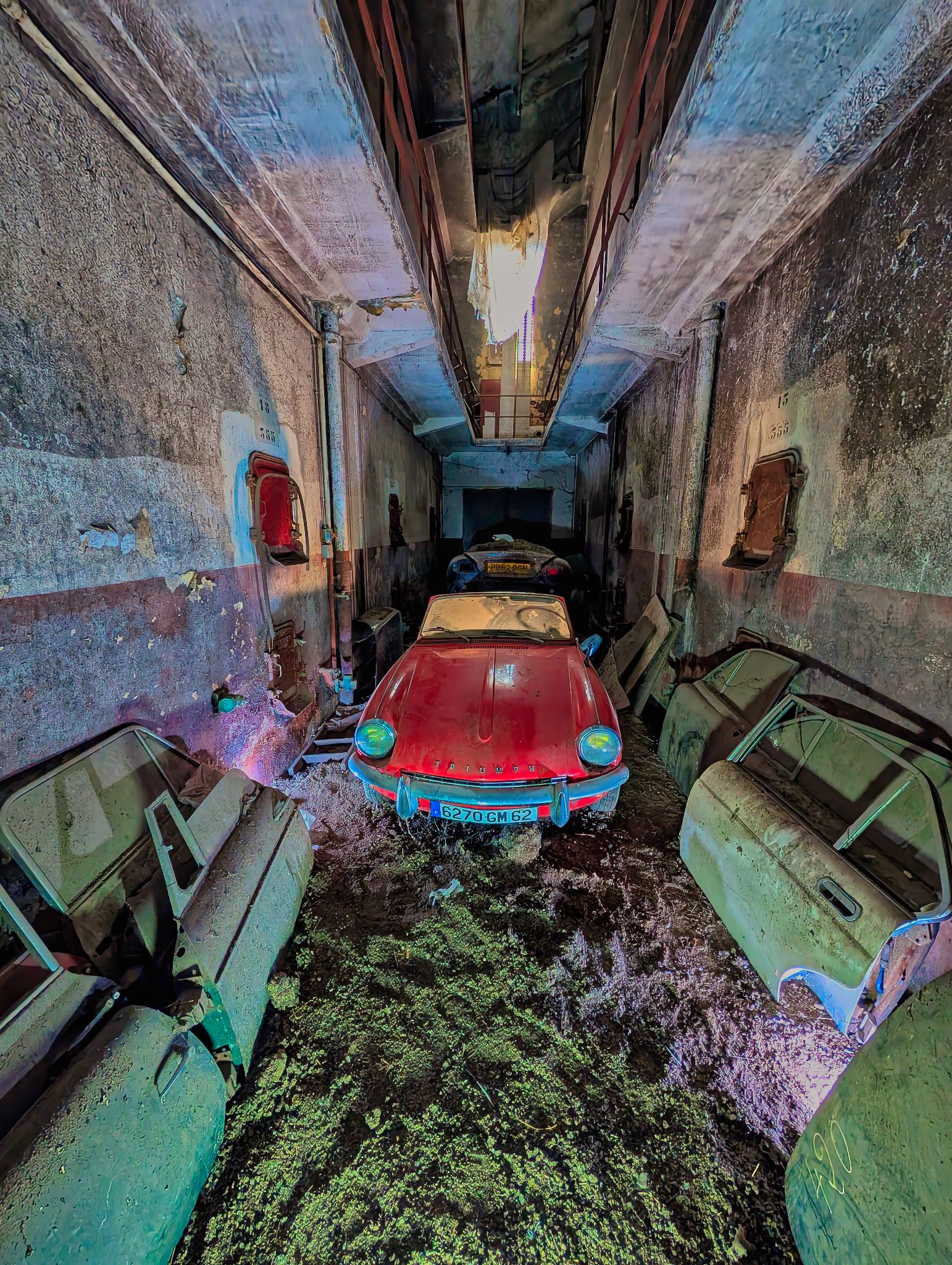 PXL 20250727 081743366