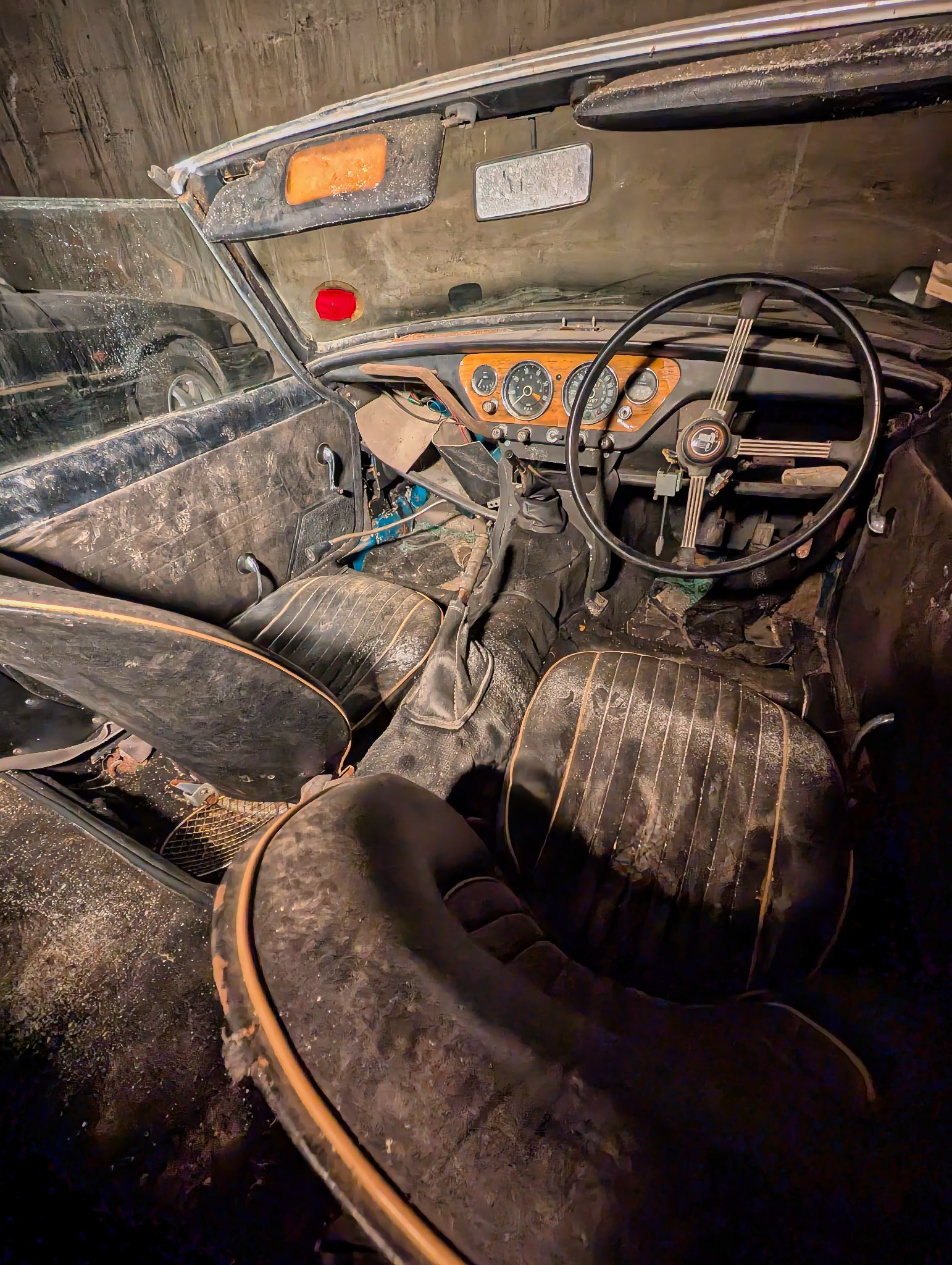 PXL 20250727 082255493