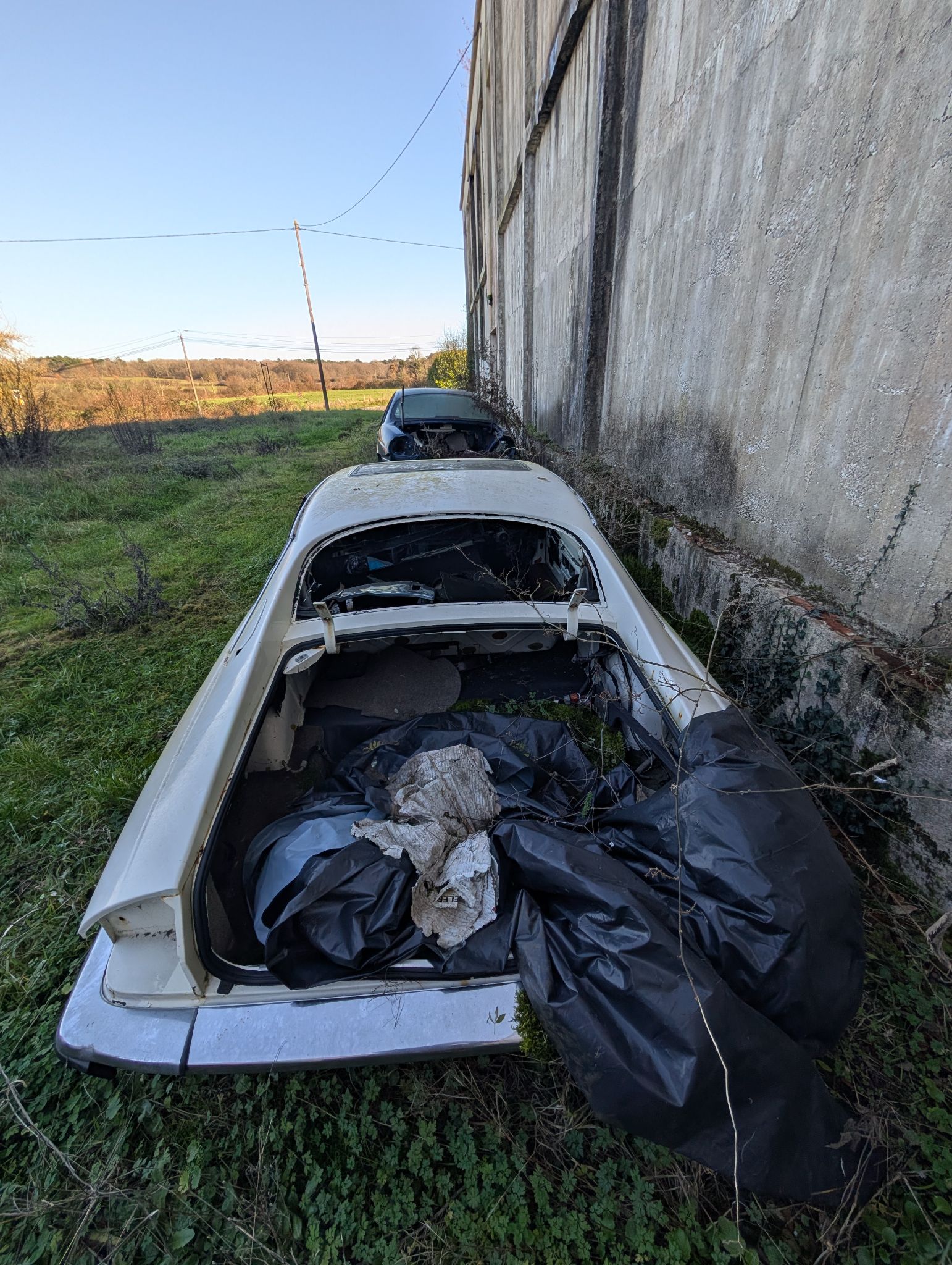 PXL 20251228 122711203