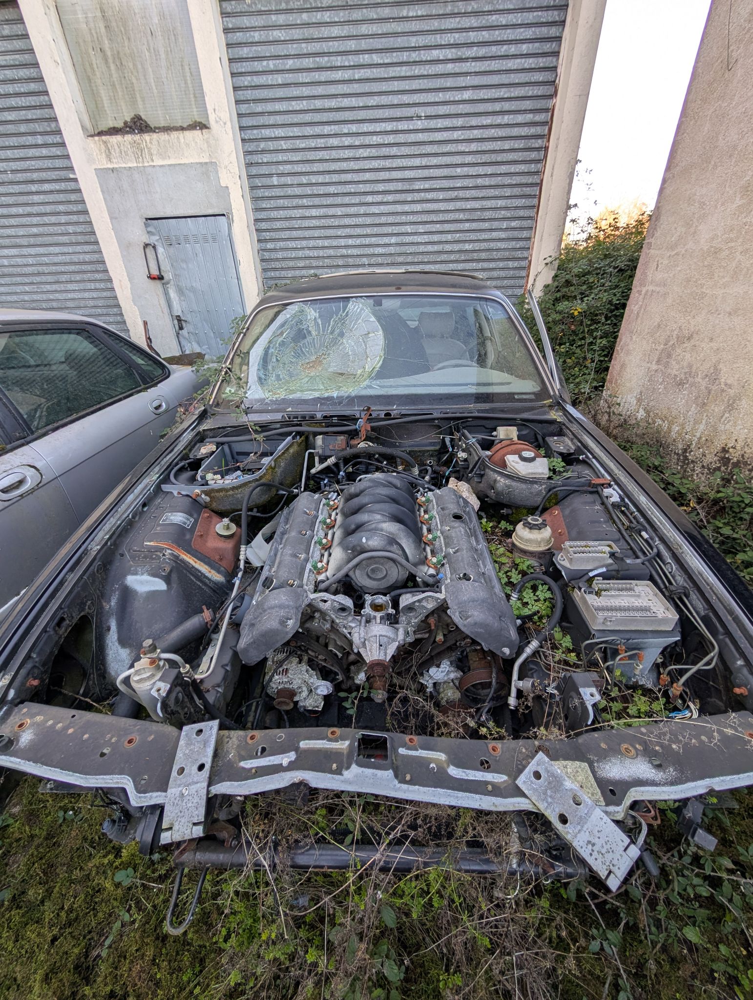 PXL 20251228 122748910