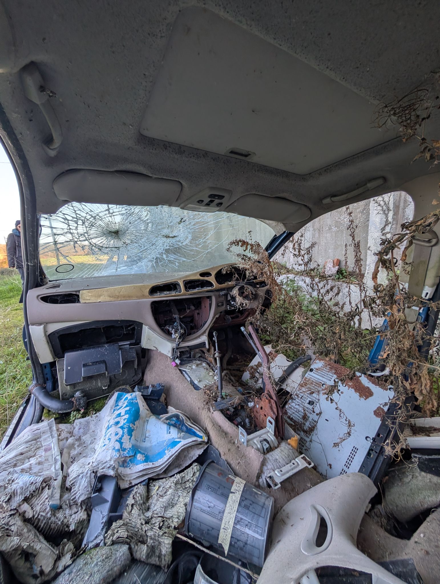 PXL 20251228 122817956