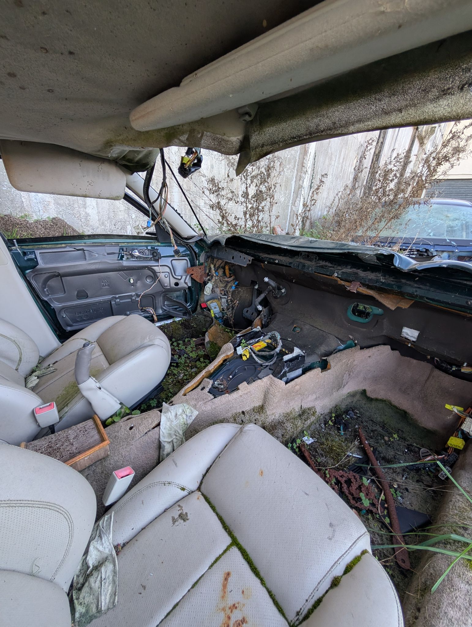 PXL 20251228 122836106