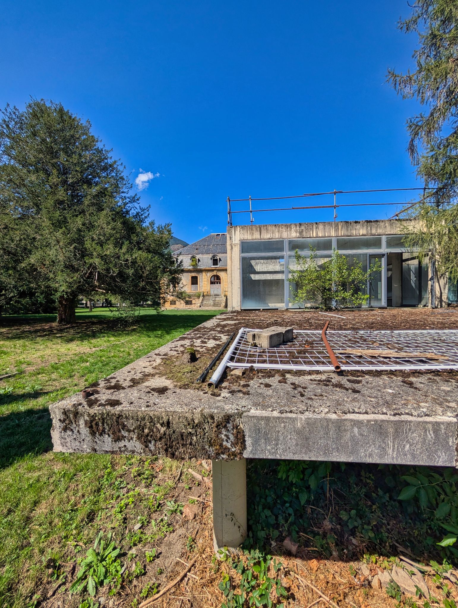 PXL 20250830 133604244