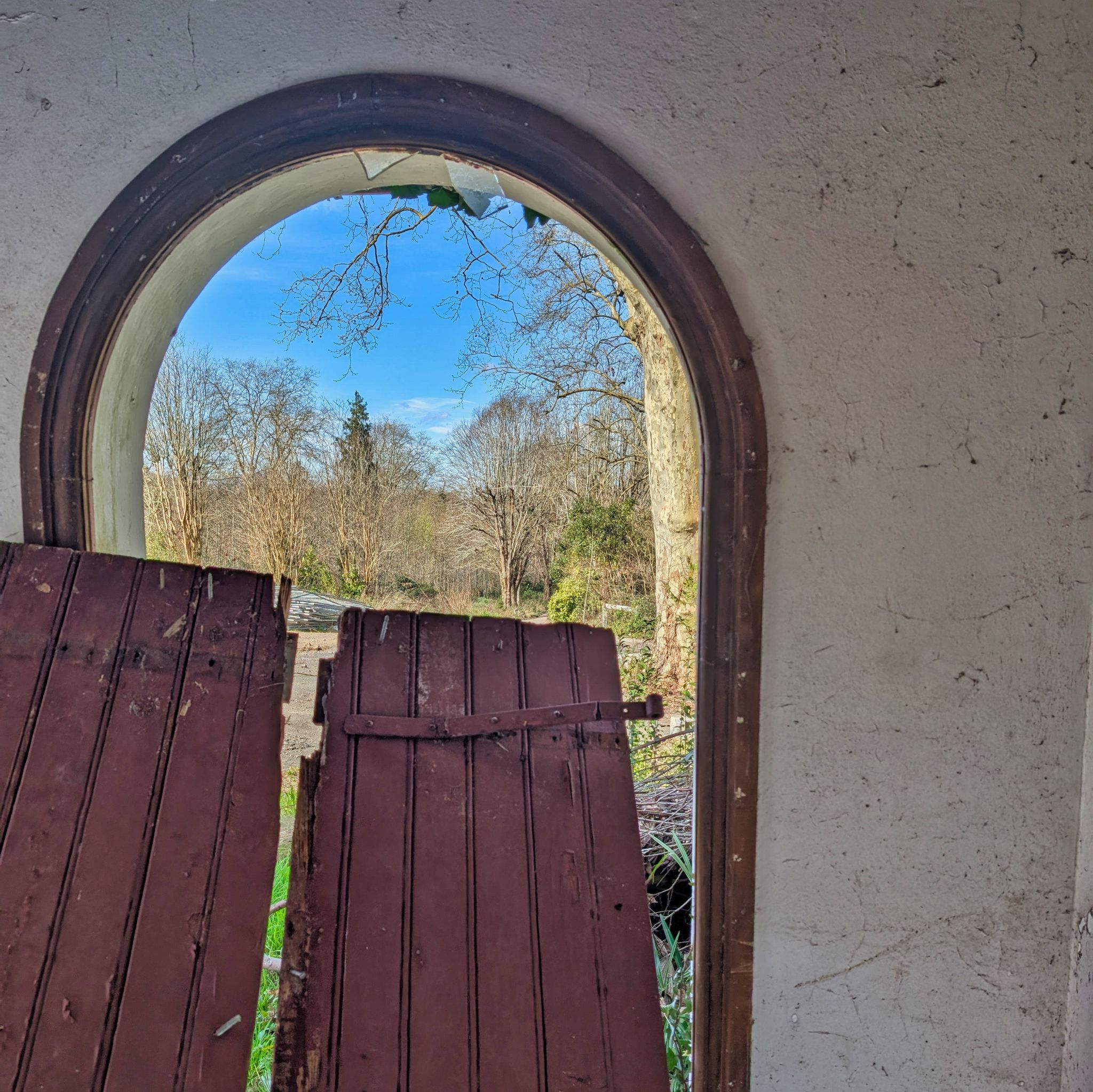 PXL 20250319 100702906